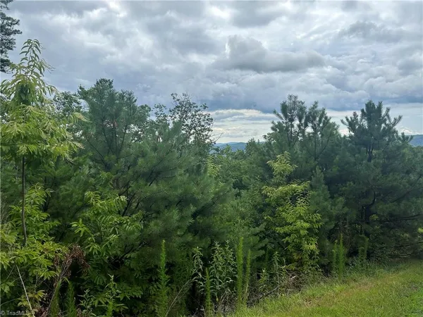 $115,000 | Tbd Tbd Lobelia Lane, Boone, NC 28607