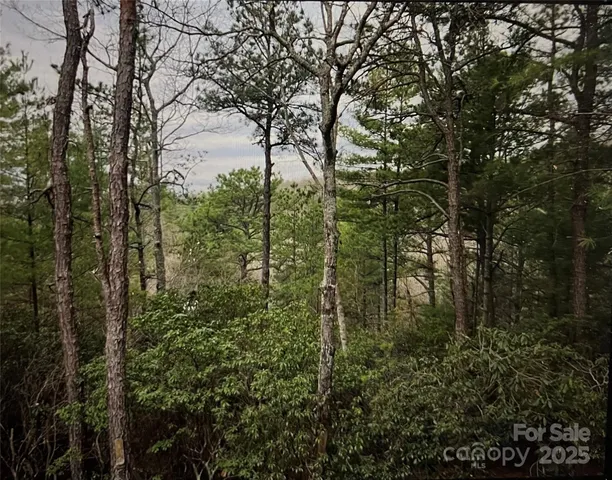 $89,700 | 475 Bear Cub Drive, Spruce Pine, NC 28777