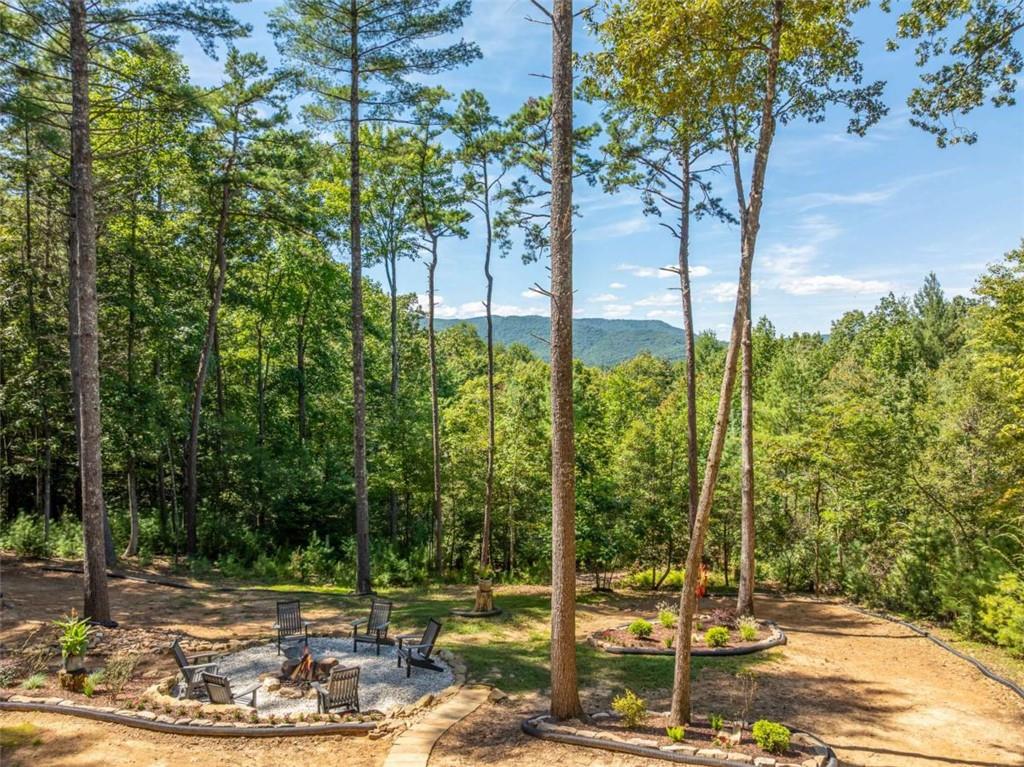 454 North Old Aska Road Blue Ridge, GA 30513 - Photo 30 of 33 a view of a garden