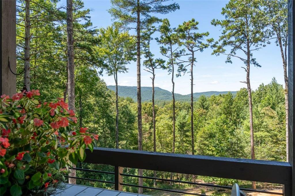 454 North Old Aska Road Blue Ridge, GA 30513 - Photo 33 of 33 a view of a yard with plants