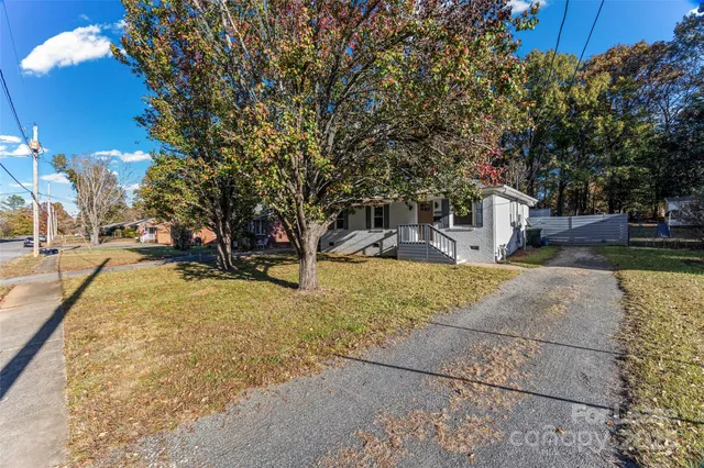 a street view with large trees