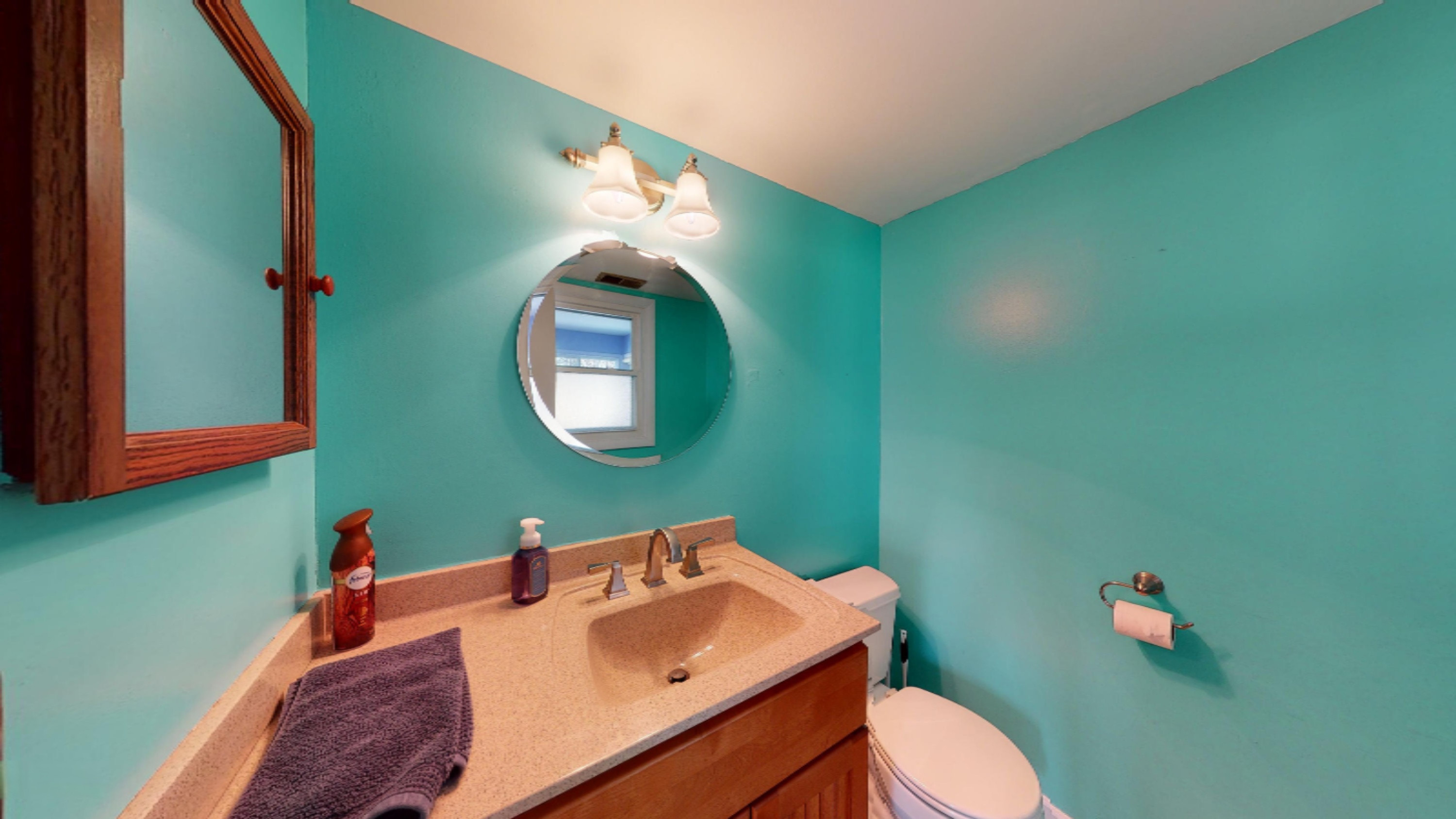 1212 Verona Road Marshall, MI 49068 - Photo 23 of 40 Clint-E-Burghdorf-03082021_211433