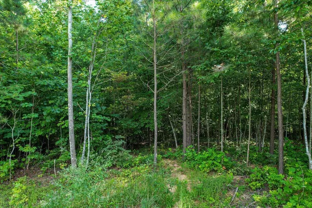 $85,000 | 0 Whiskey Way, Unit JF390, Jasper, TN 37347