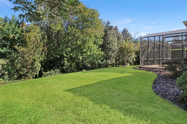 a view of a backyard