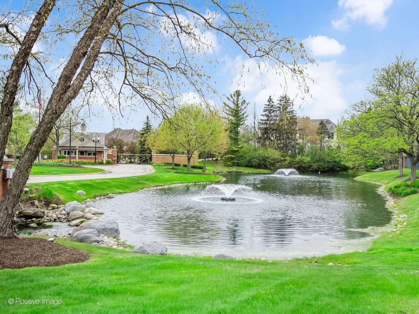 9487 Falling Waters Drive West Burr Ridge, IL 60527 - Photo 15 of 22