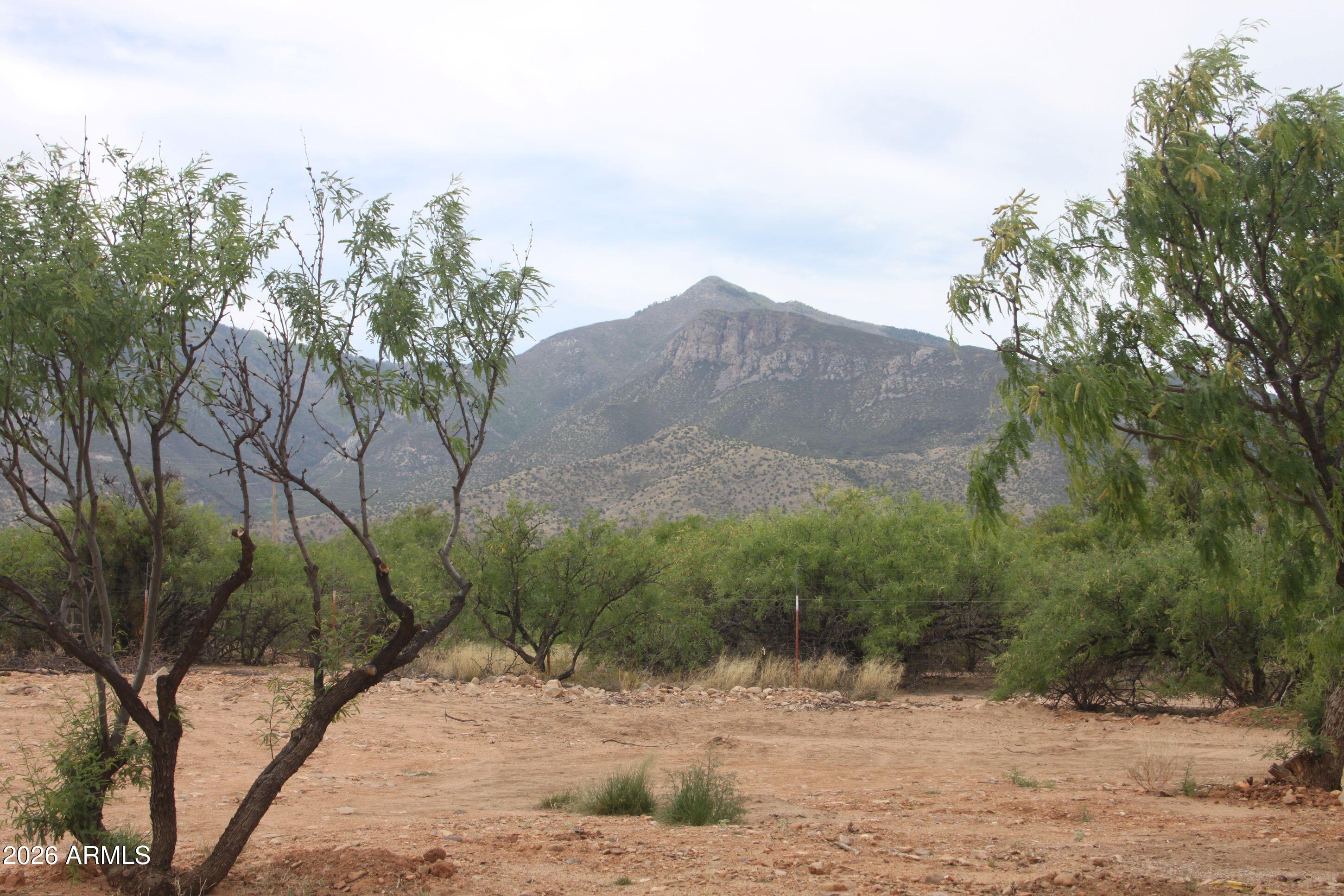6370 South Jaxel Road Hereford, AZ 85615 - Photo 45 of 58 a view of a dry yard with trees