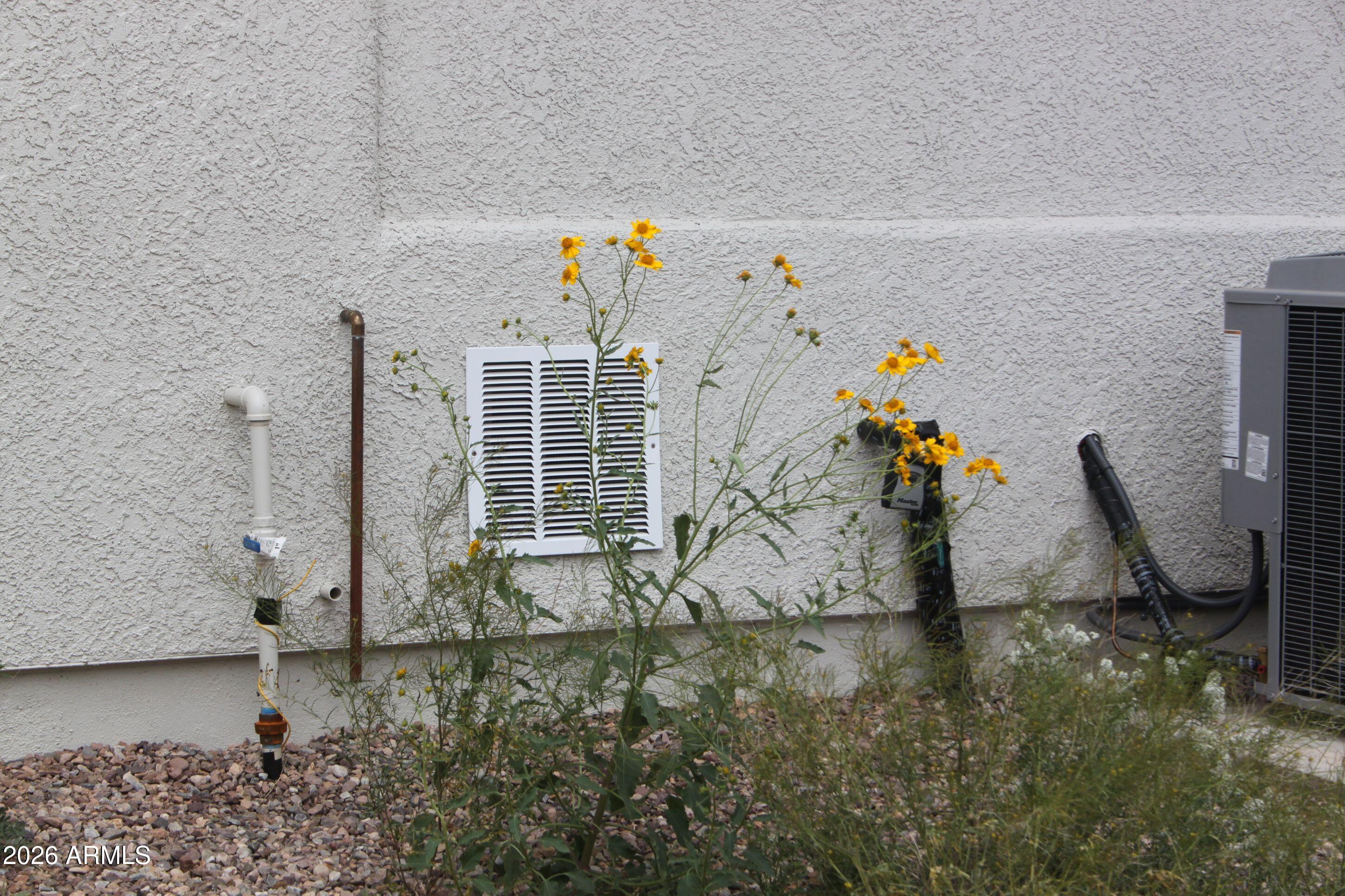 6370 South Jaxel Road Hereford, AZ 85615 - Photo 54 of 58 IMG_0859