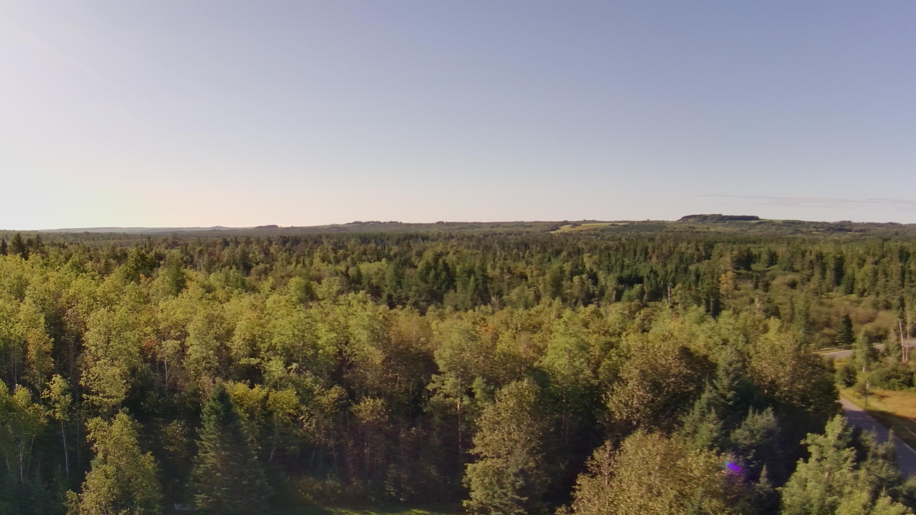 11 Cote Road Caribou, ME 04736 - Photo 16 of 29 20260821-081459