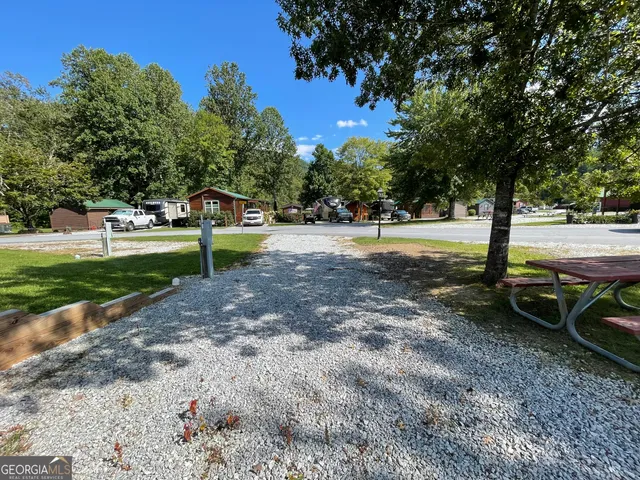 a view of a backyard with large trees