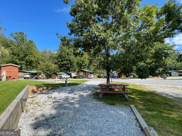 a view of a park with large trees