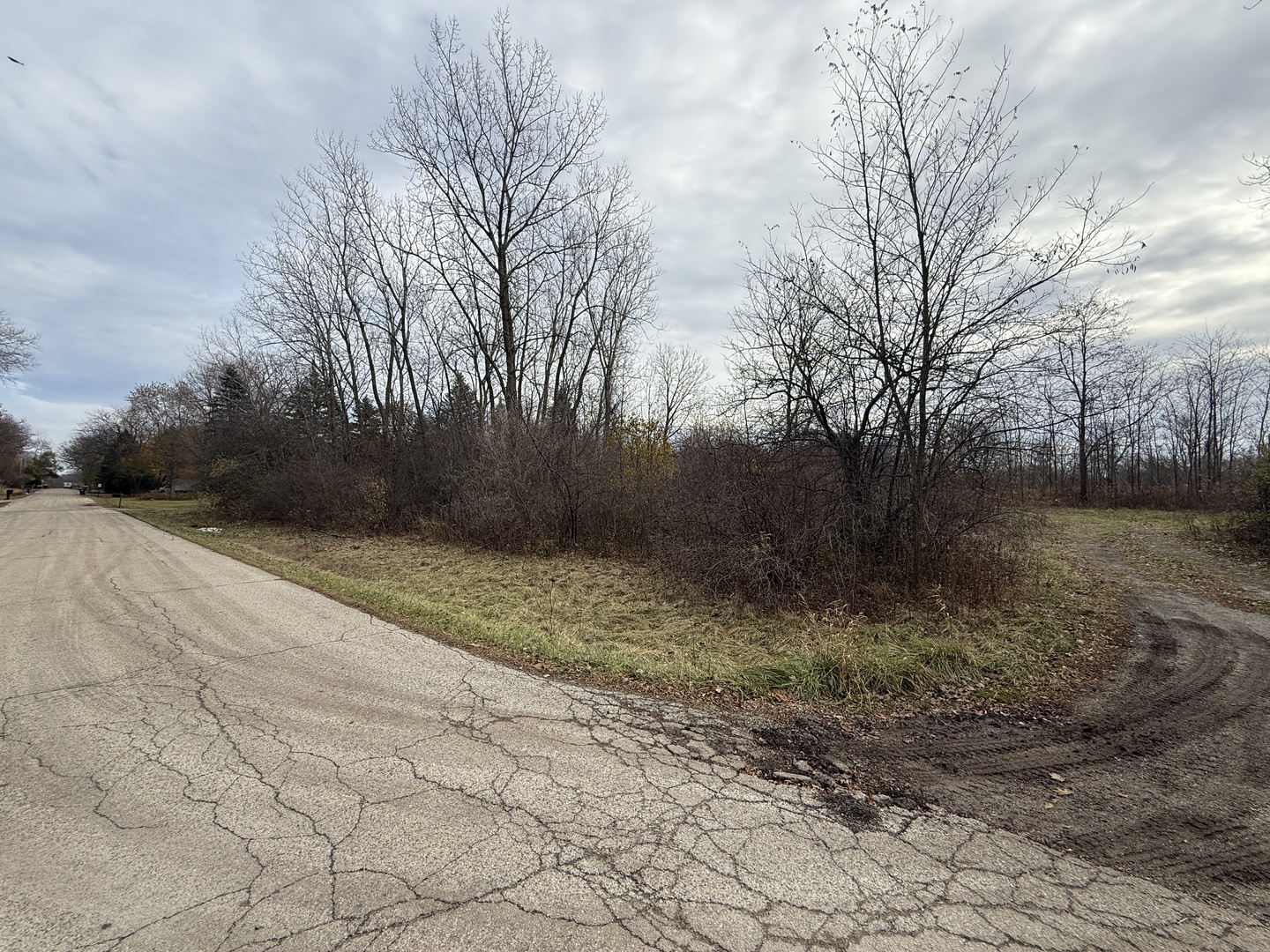 3015 13th Street Winthrop Harbor, IL 60096 - Photo 2 of 5 a view of backyard with green space
