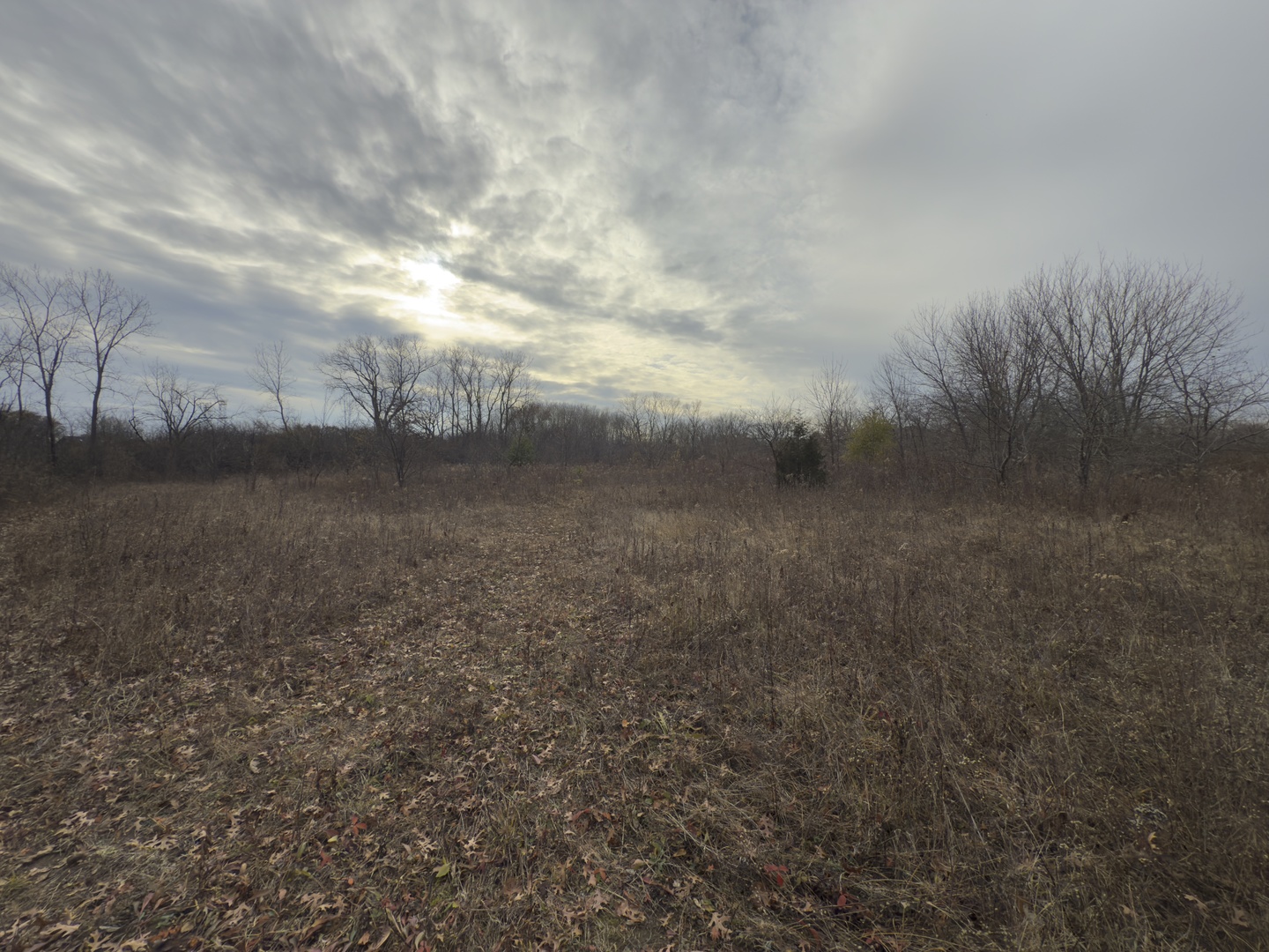 3015 13th Street Winthrop Harbor, IL 60096 - Photo 4 of 5 a view of a dry yard