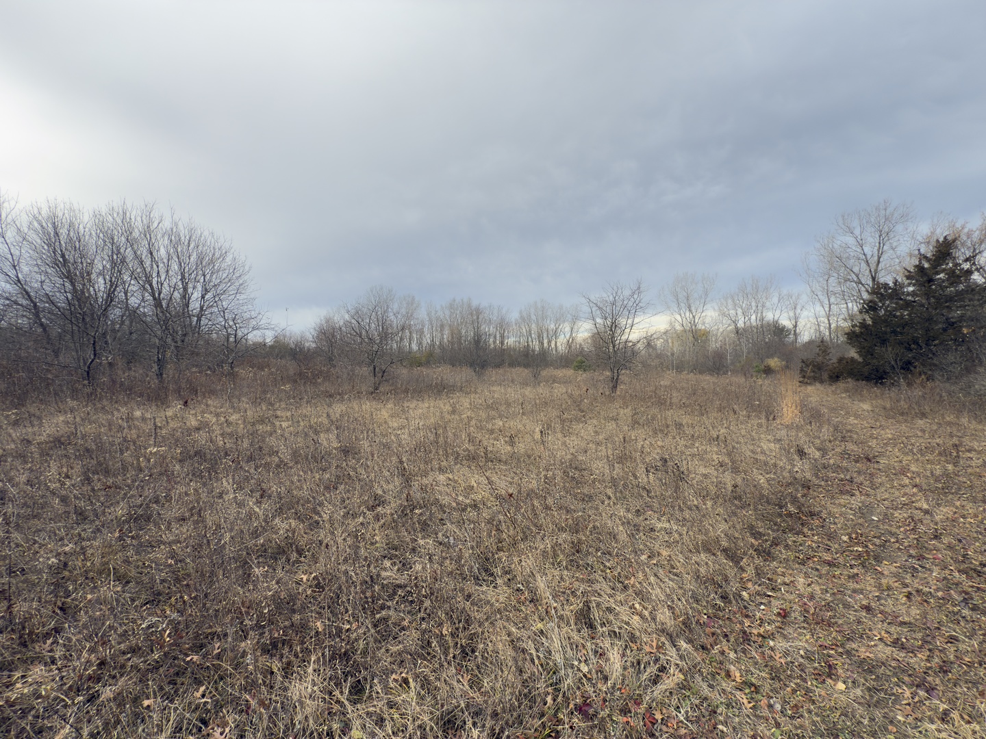 3015 13th Street Winthrop Harbor, IL 60096 - Photo 5 of 5 a view of a field of trees