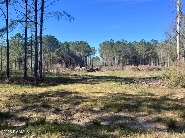 $55,000 | 0 Don Drive, Jennings, LA 70546
