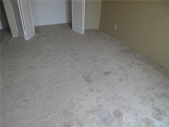 213 Seabreeze Circle Jupiter, FL 33477 - Photo 9 of 9 Additional Photo