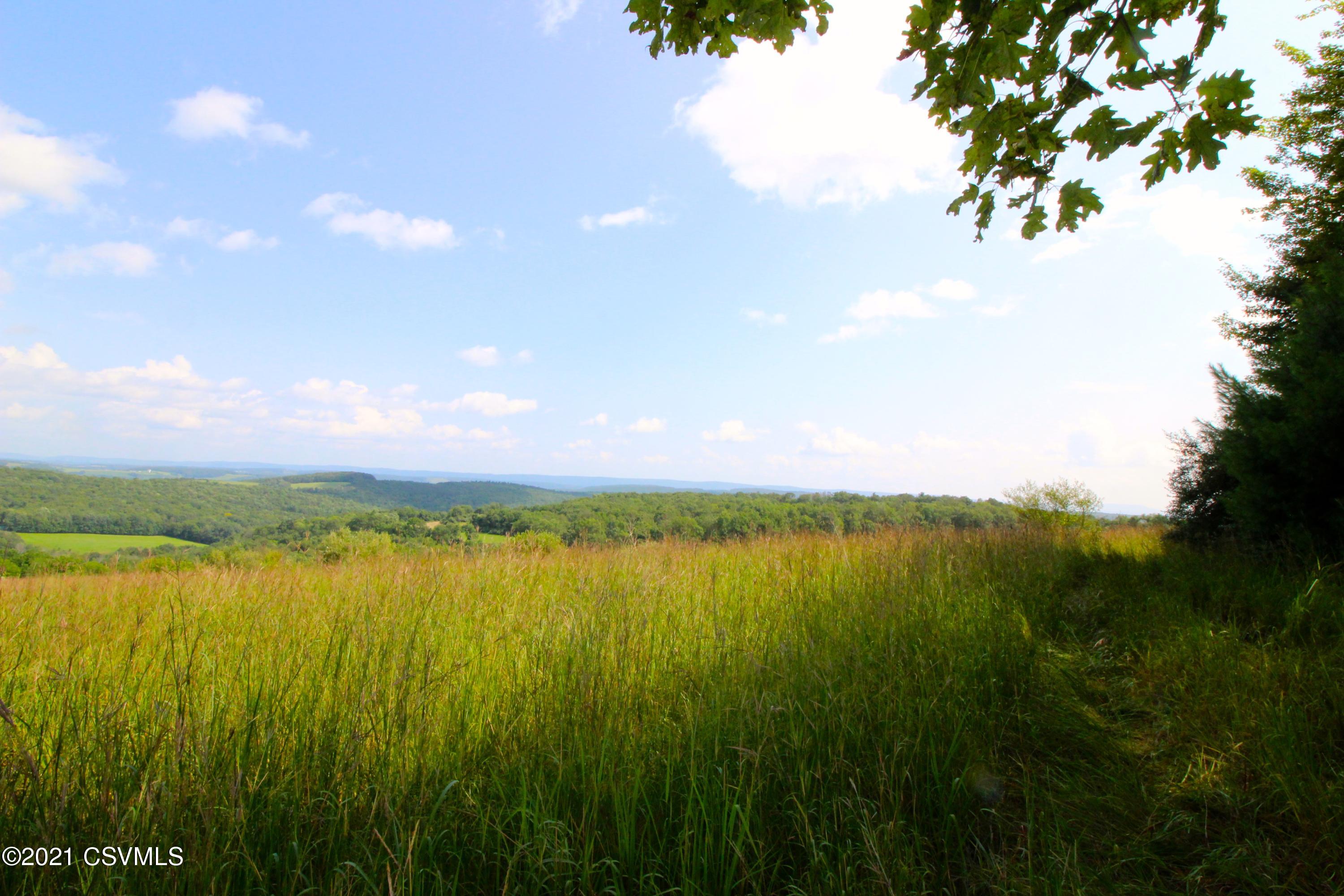 Piper Road Benton, PA 17814 - Photo 3 of 11