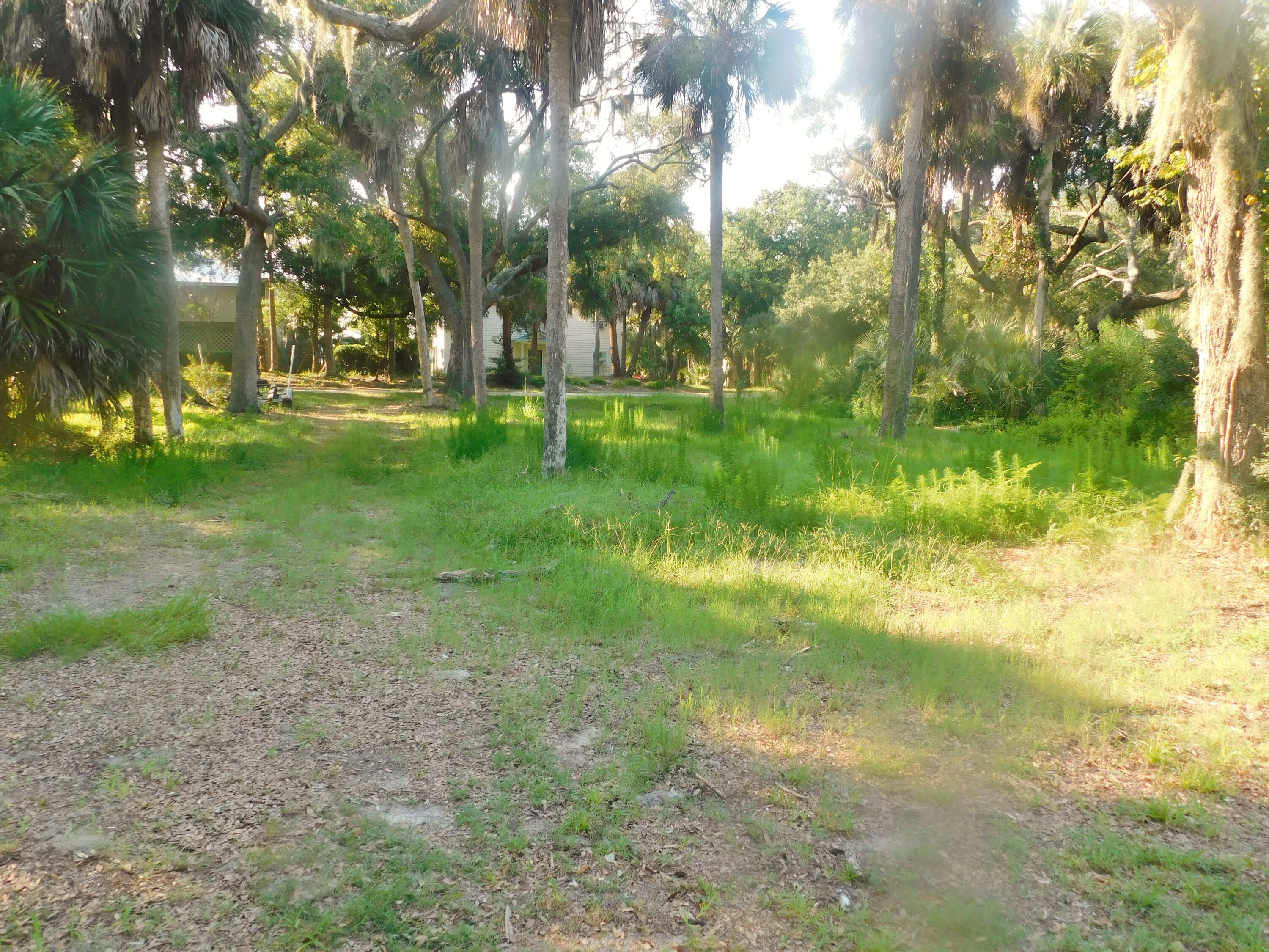 407 Jungle Road Edisto Beach, SC 29438 - Photo 1 of 13 DSCN1593