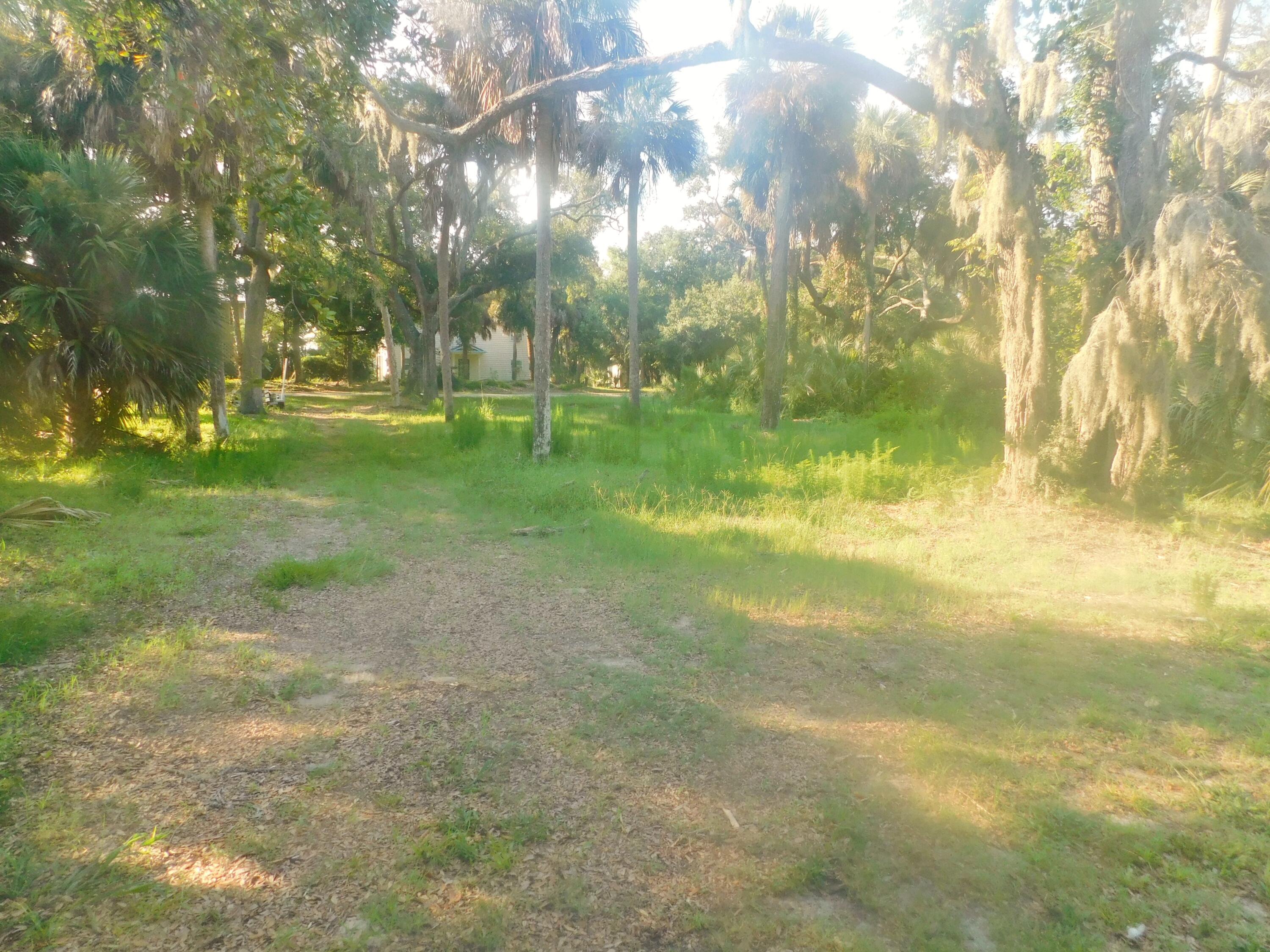 407 Jungle Road Edisto Beach, SC 29438 - Photo 3 of 13 DSCN1583