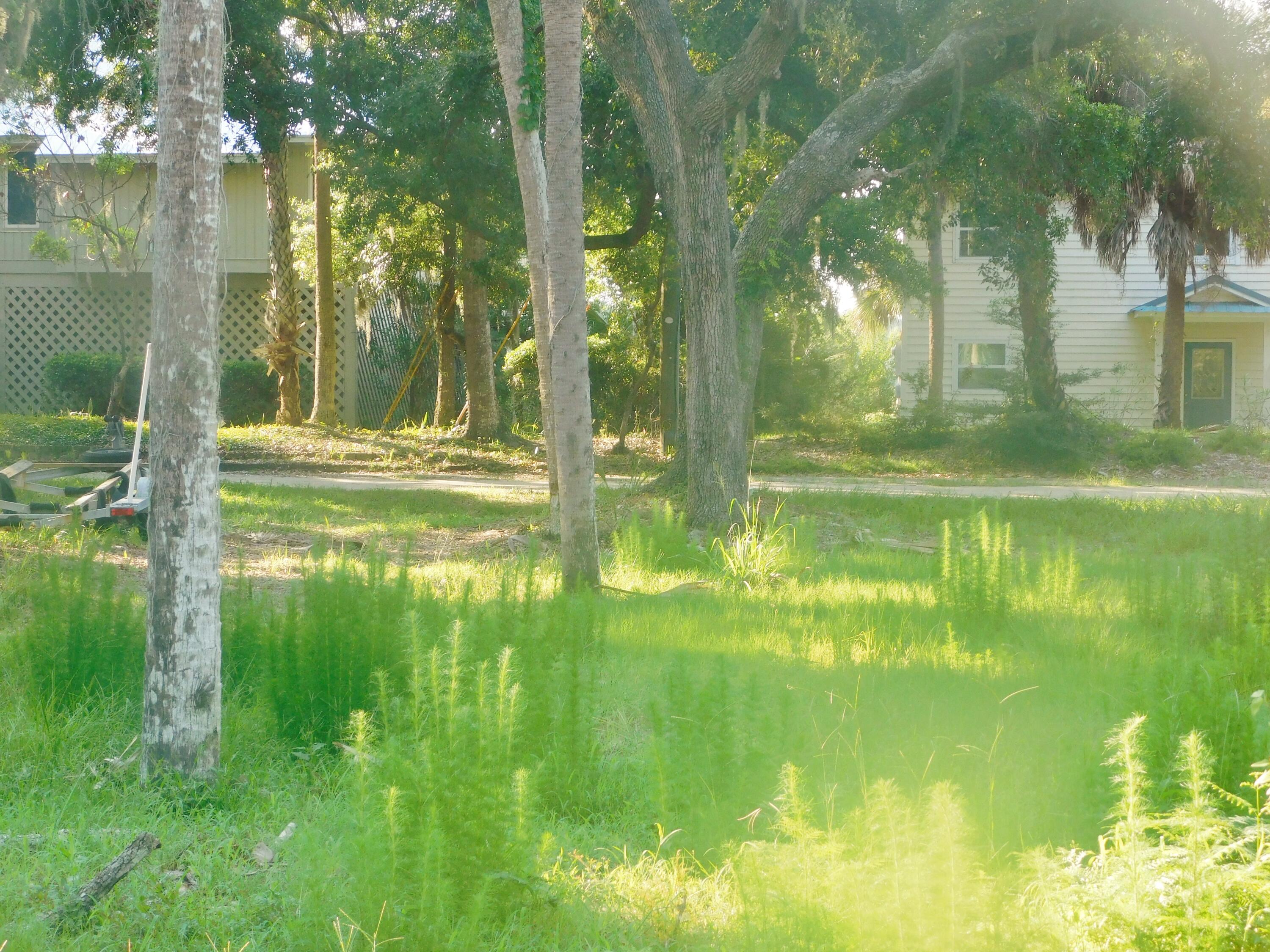407 Jungle Road Edisto Beach, SC 29438 - Photo 4 of 13 DSCN1589