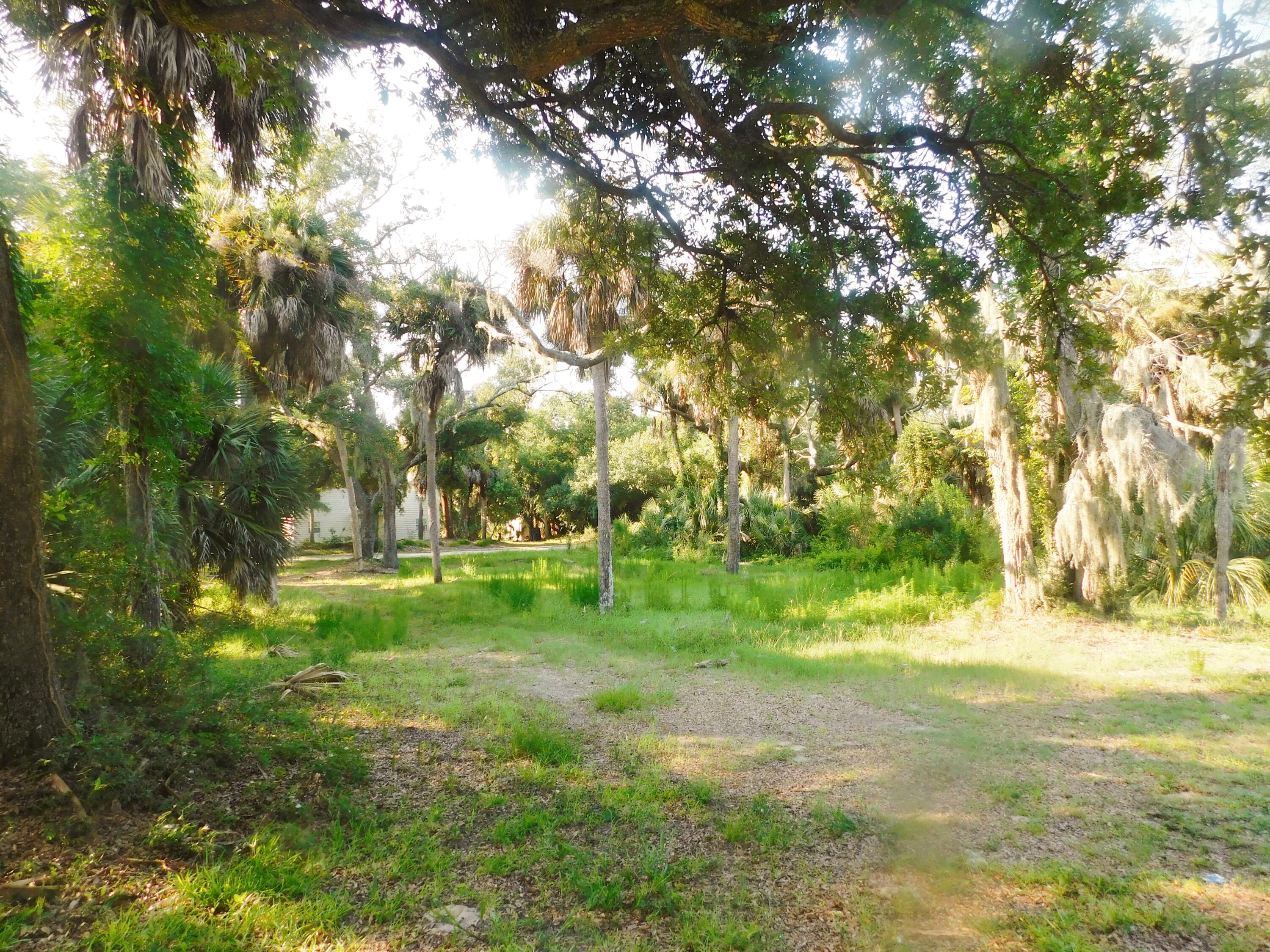 407 Jungle Road Edisto Beach, SC 29438 - Photo 5 of 13 DSCN1595
