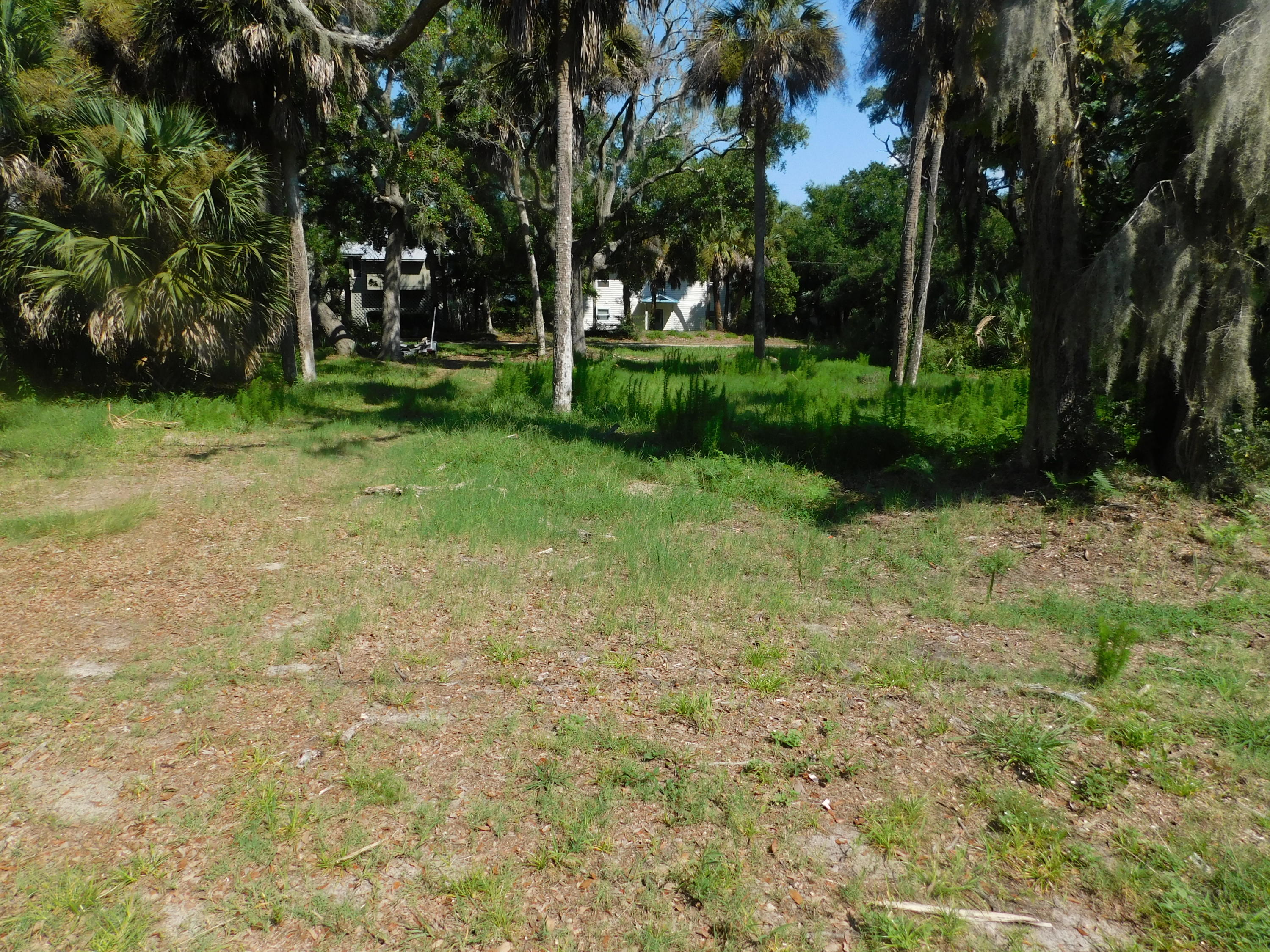 407 Jungle Road Edisto Beach, SC 29438 - Photo 6 of 13 DSCN1604
