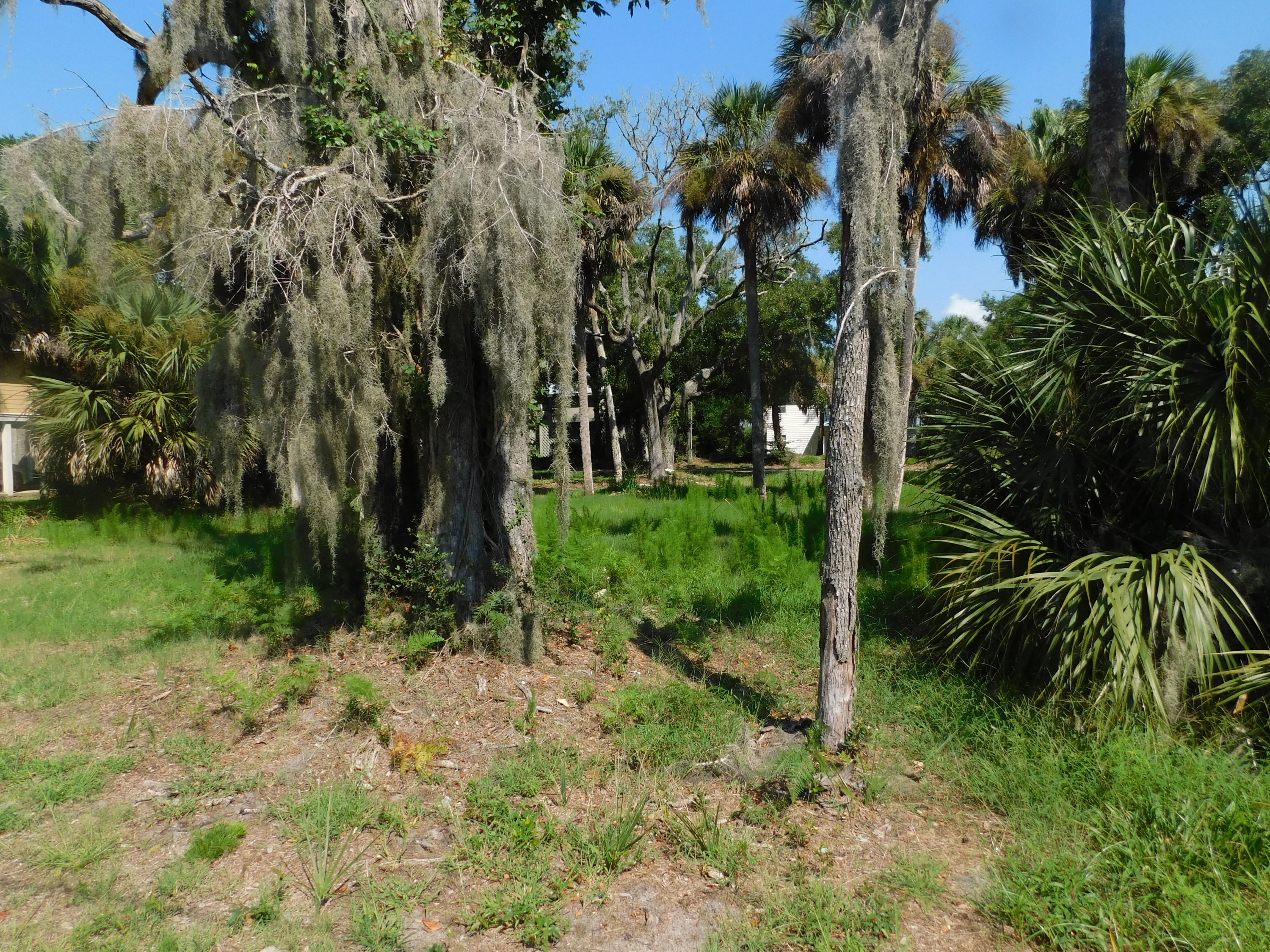407 Jungle Road Edisto Beach, SC 29438 - Photo 7 of 13 DSCN1605