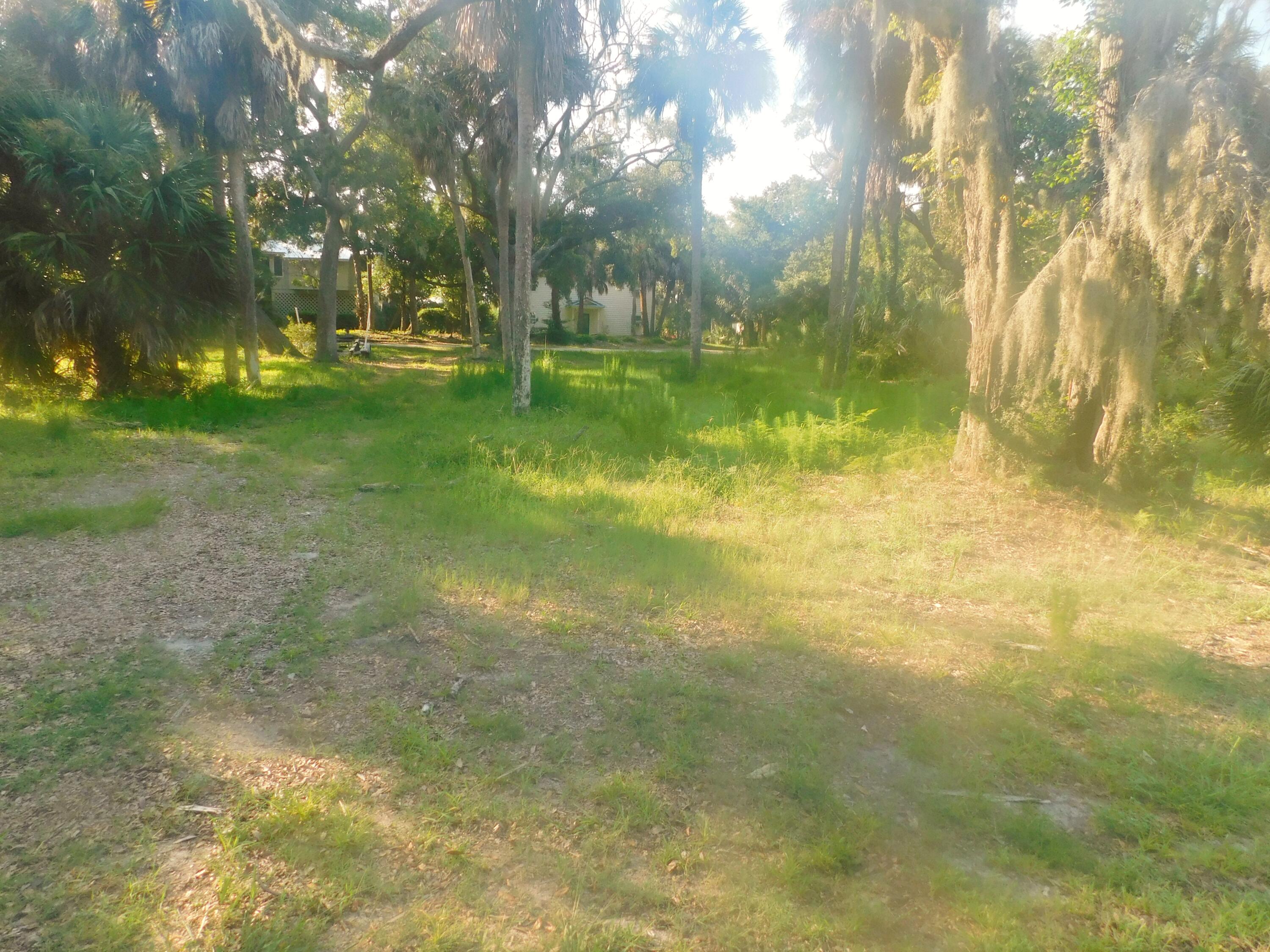 407 Jungle Road Edisto Beach, SC 29438 - Photo 8 of 13 DSCN1584