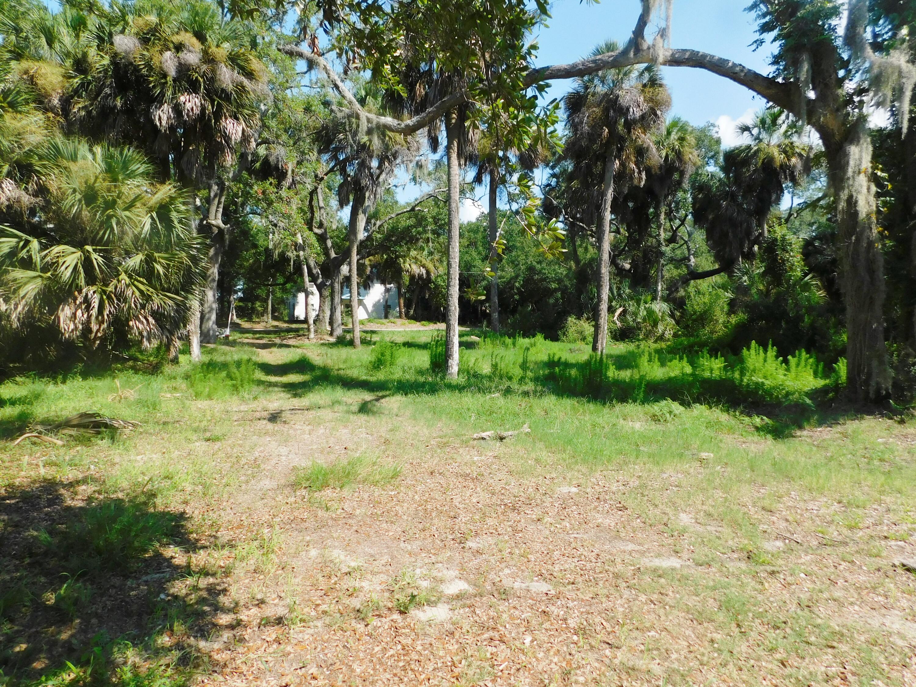 407 Jungle Road Edisto Beach, SC 29438 - Photo 9 of 13 DSCN1601