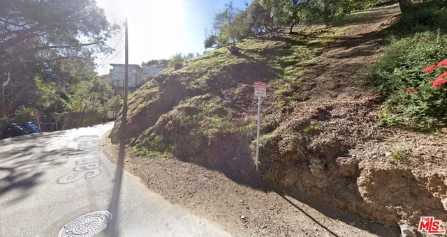 a view of a yard in a backyard