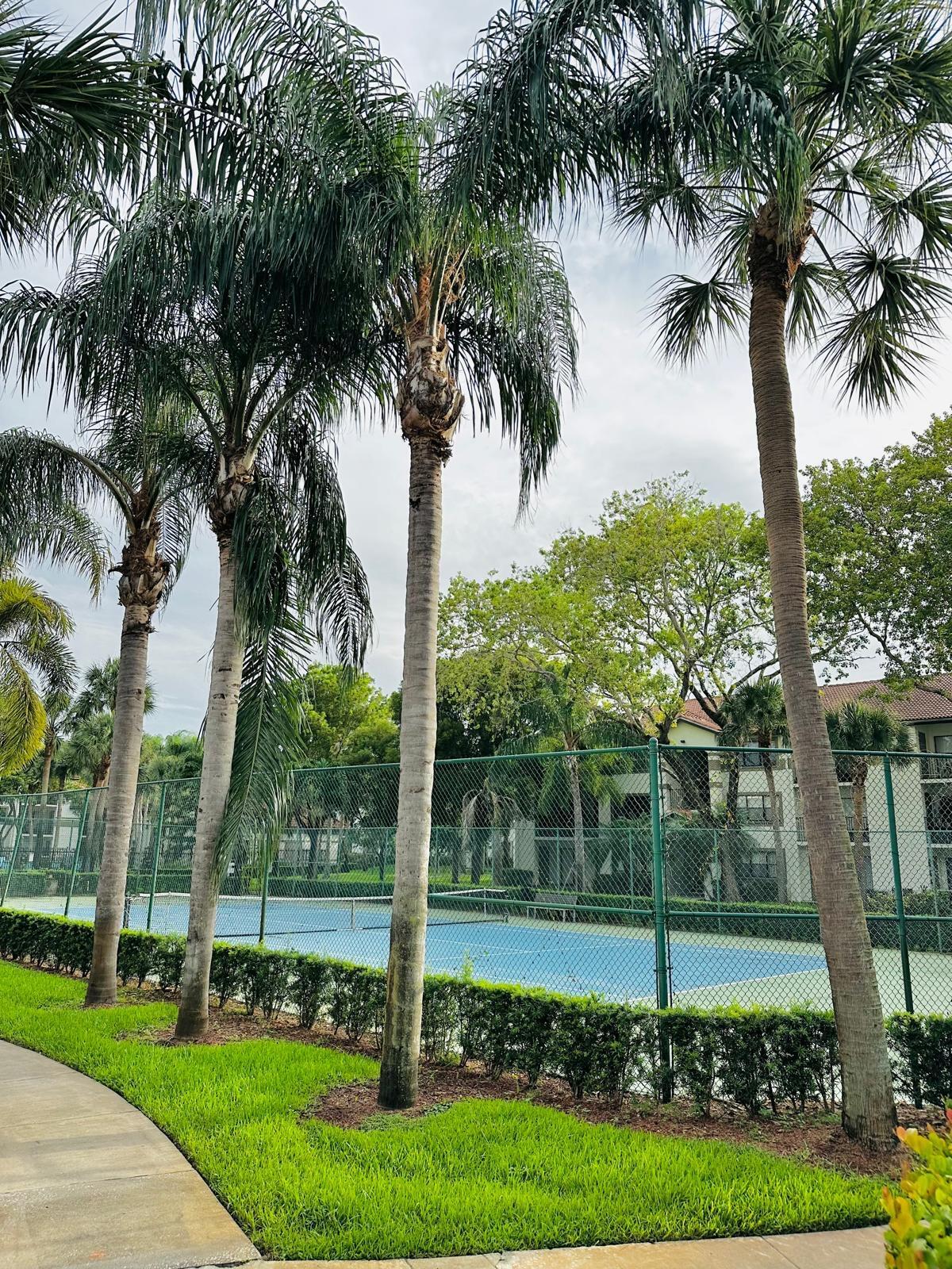 540 South Park Road Hollywood, FL 33021 - Photo 9 of 26 a garden with palm trees