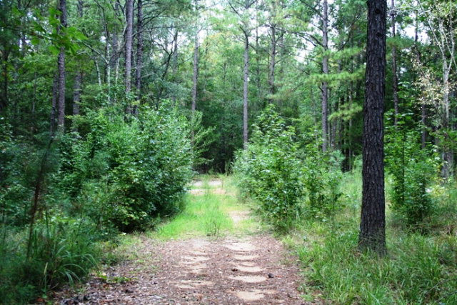 3685 Johns Road Appling, GA 30802 - Photo 1 of 1 Main View