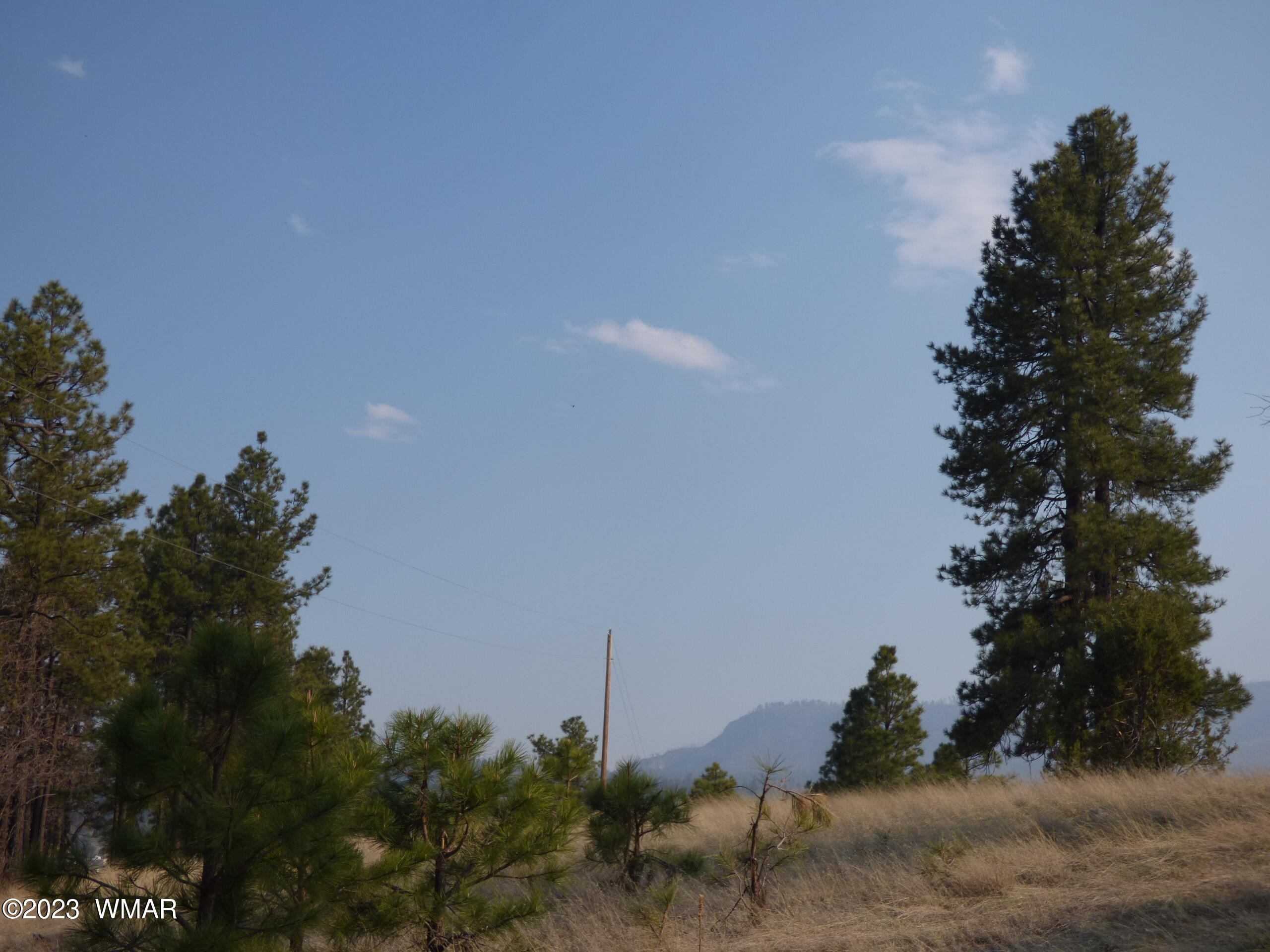 Lot 9 The Ranch Alpine, AZ 85920 - Photo 11 of 20 P1260202