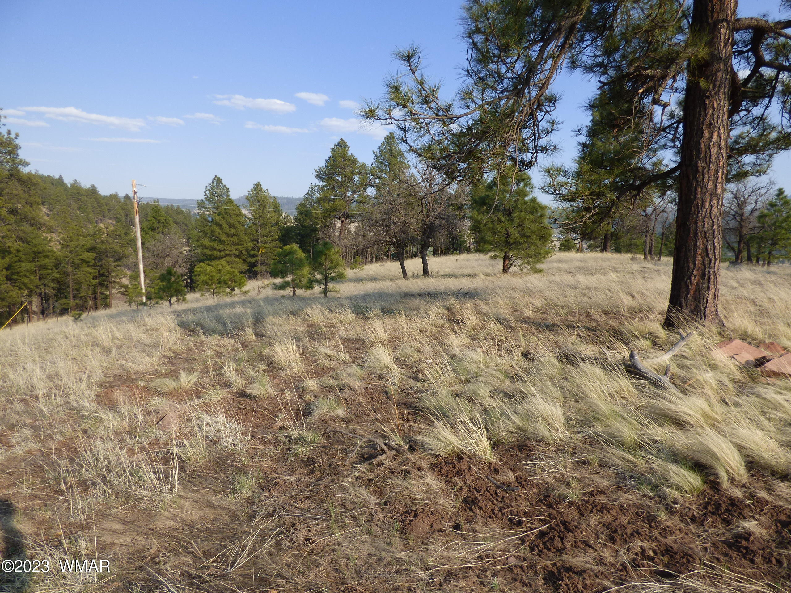 Lot 9 The Ranch Alpine, AZ 85920 - Photo 13 of 20 P1260189