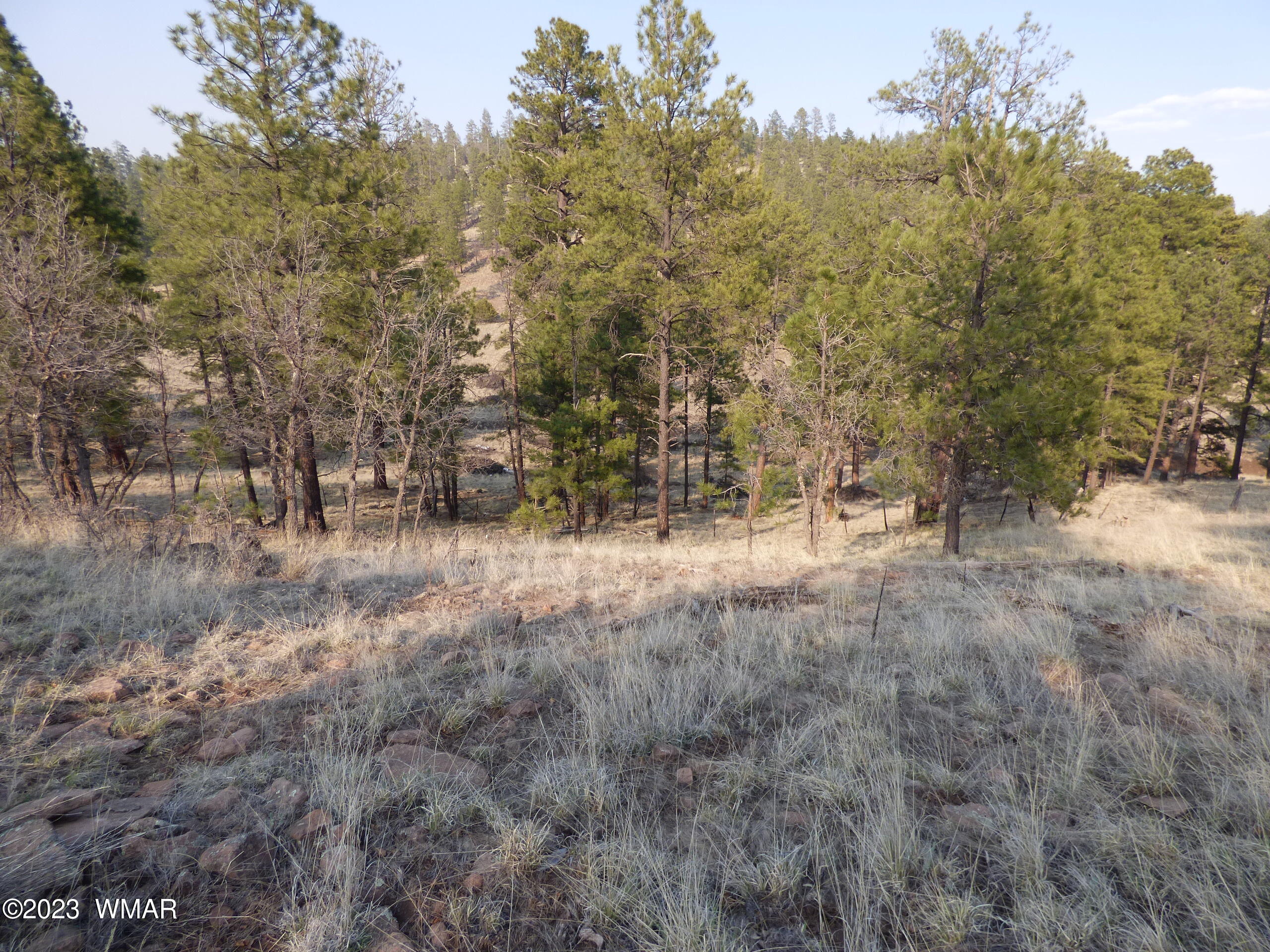 Lot 9 The Ranch Alpine, AZ 85920 - Photo 14 of 20 P1260195