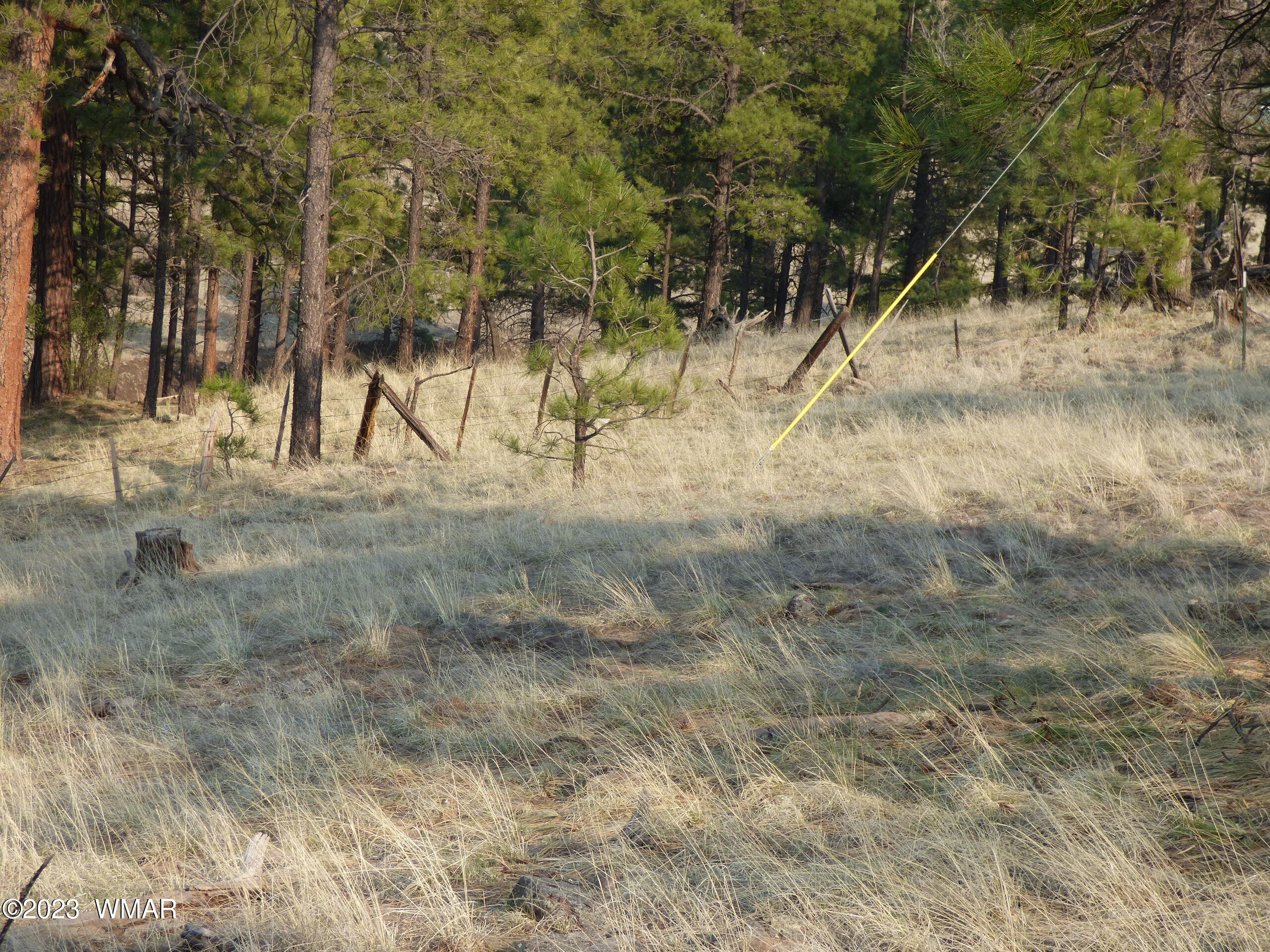 Lot 9 The Ranch Alpine, AZ 85920 - Photo 15 of 20 P1260196