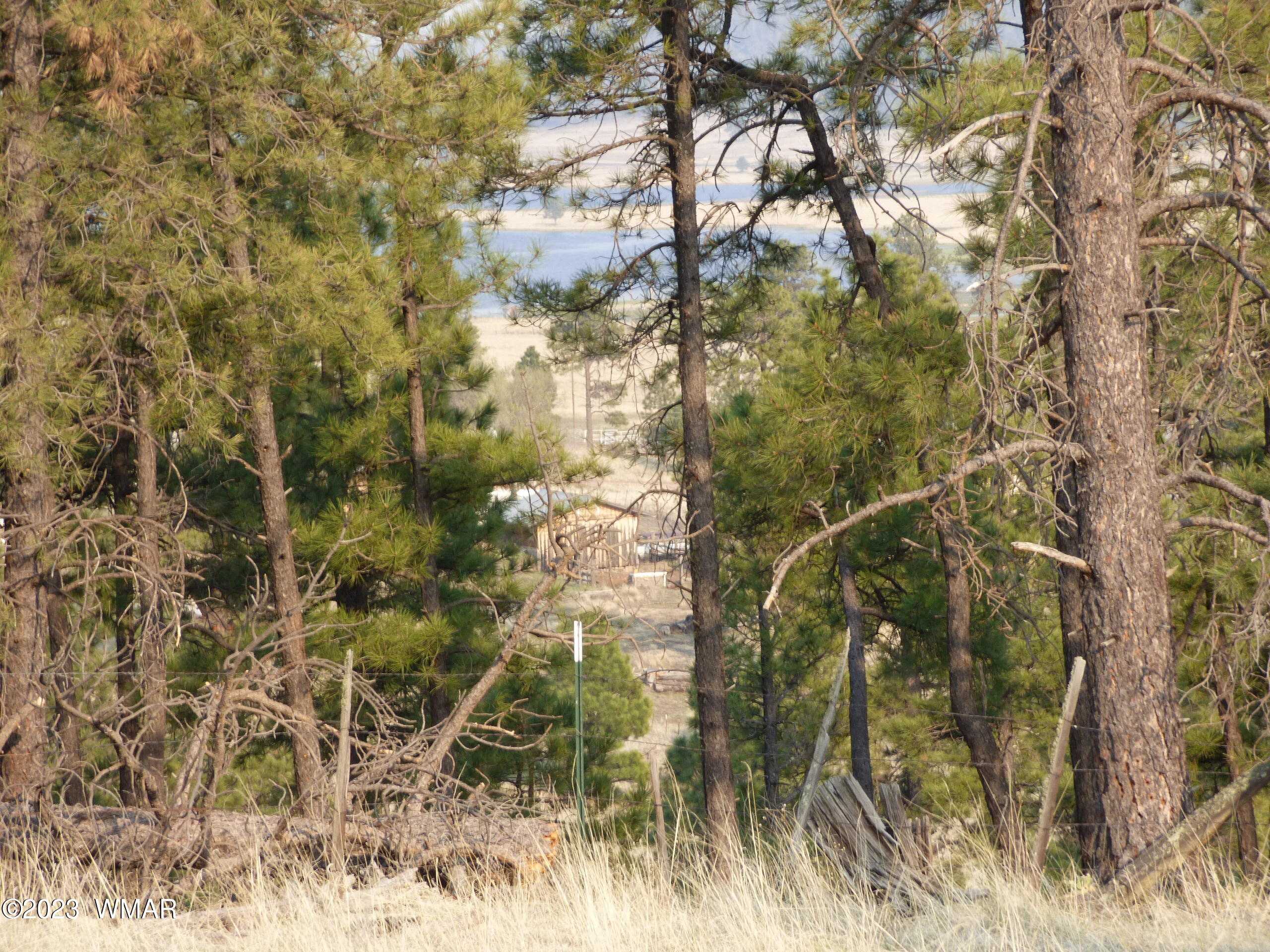 Lot 9 The Ranch Alpine, AZ 85920 - Photo 17 of 20 P1260248