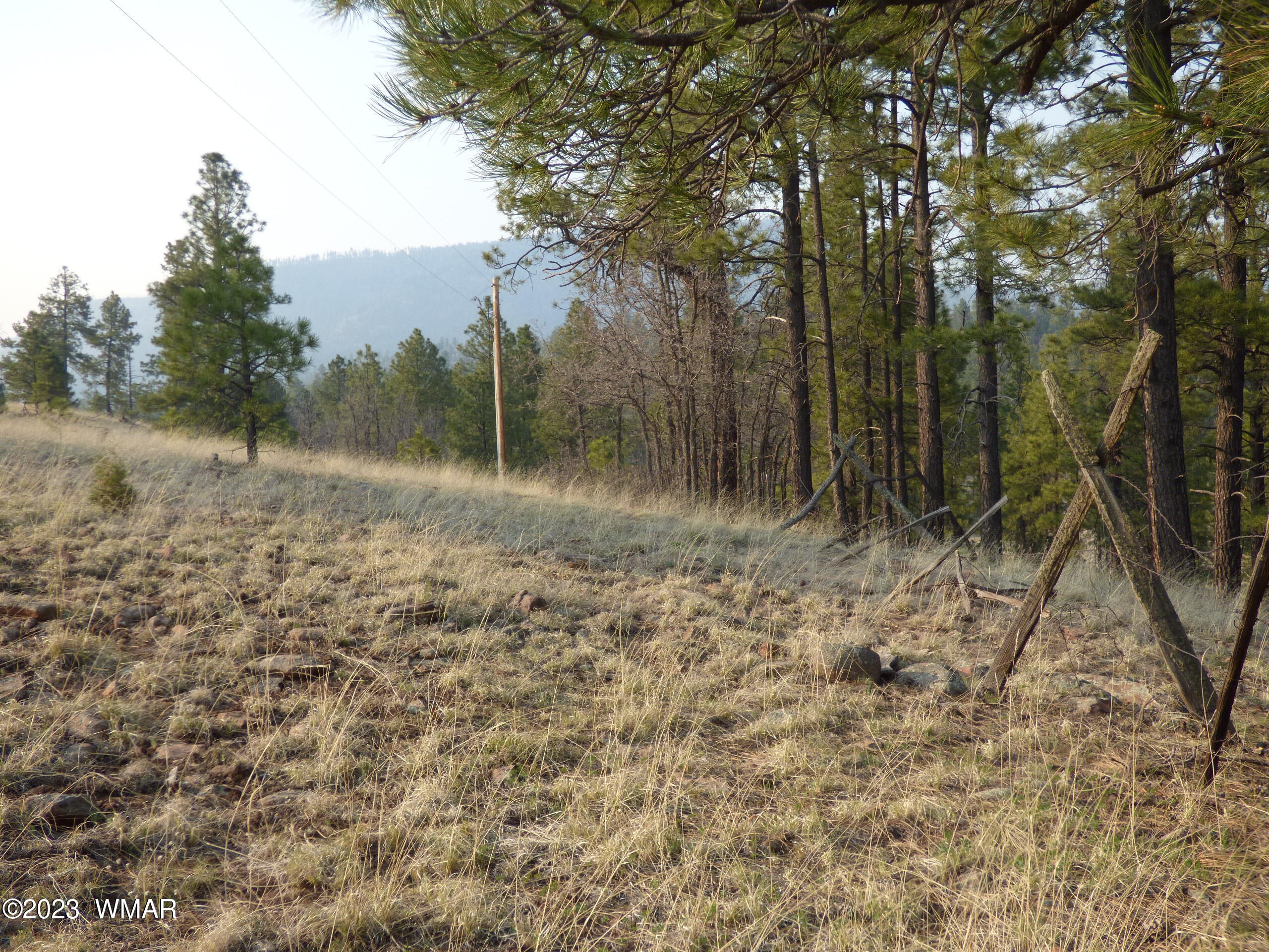 Lot 9 The Ranch Alpine, AZ 85920 - Photo 19 of 20 P1260254