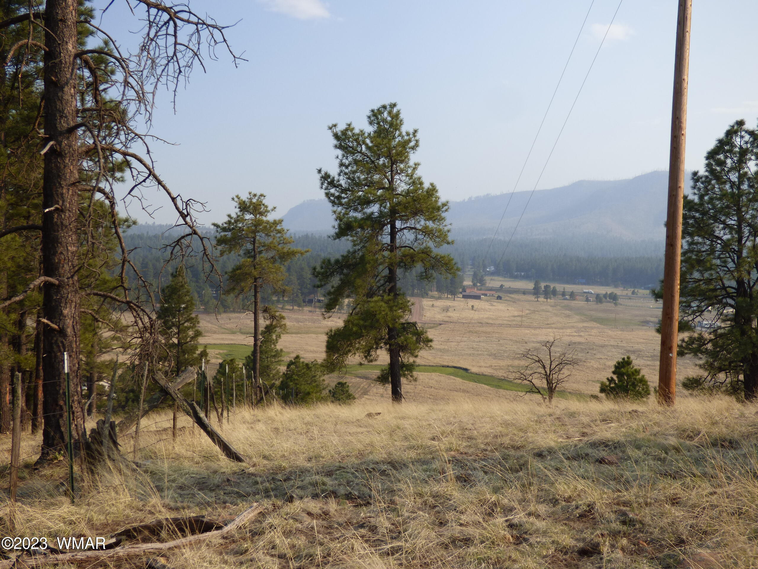 Lot 9 The Ranch Alpine, AZ 85920 - Photo 2 of 20 Lot 9