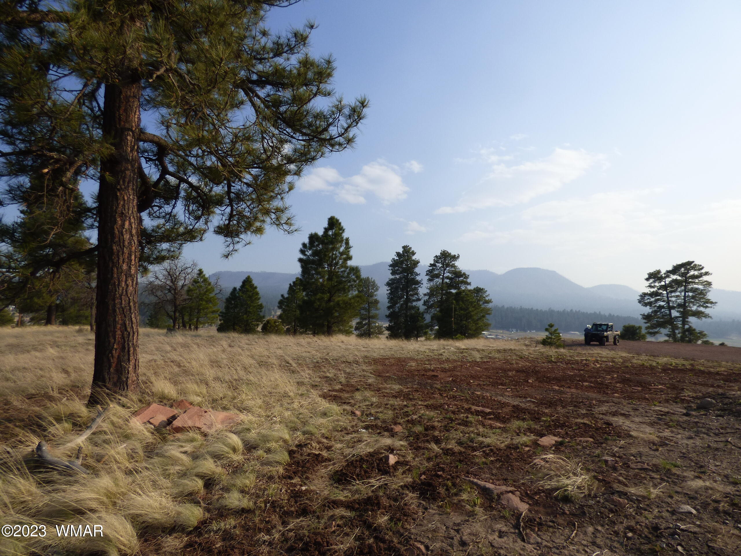 Lot 9 The Ranch Alpine, AZ 85920 - Photo 3 of 20 P1260191