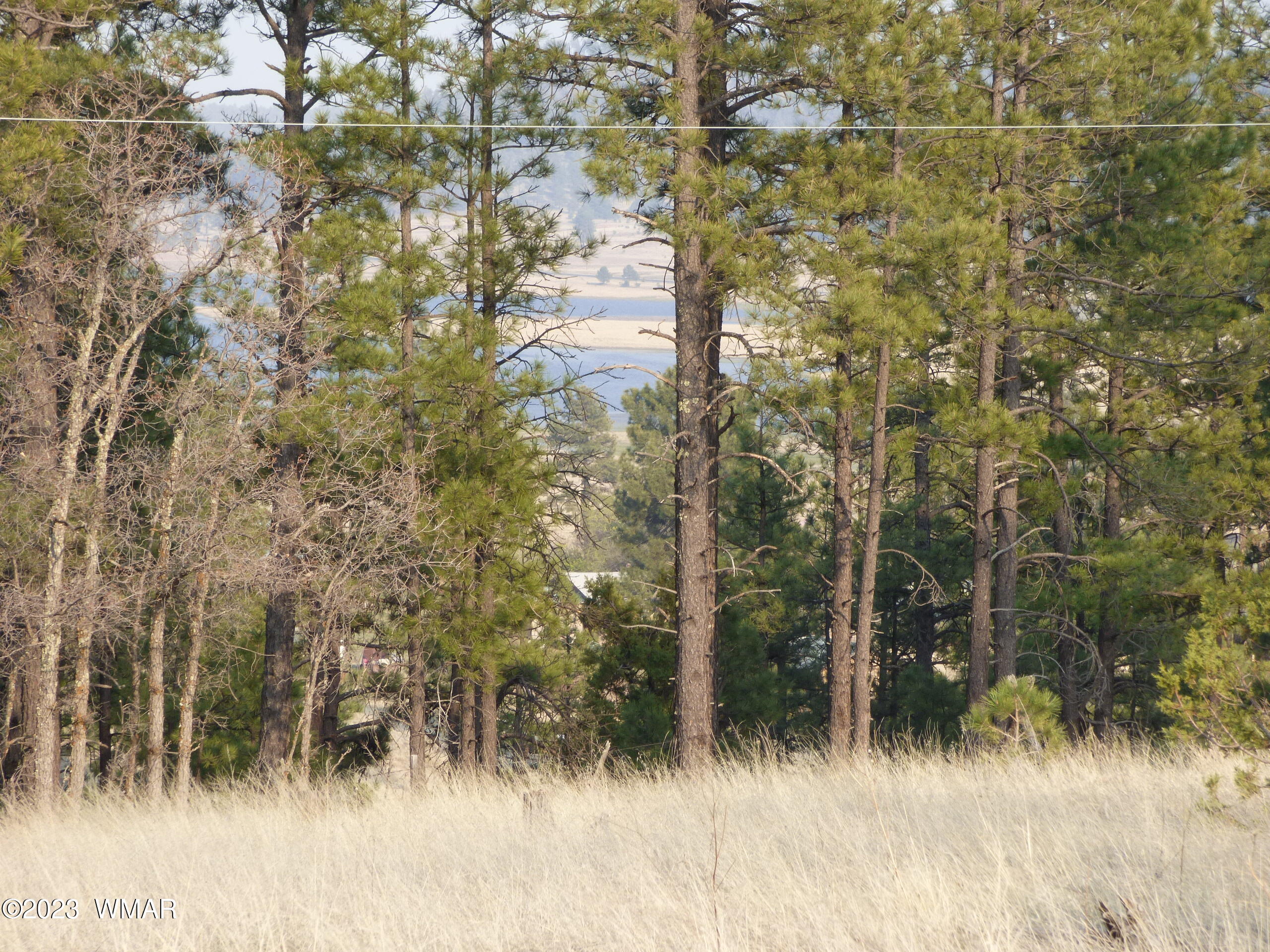 Lot 9 The Ranch Alpine, AZ 85920 - Photo 4 of 20 P1260222