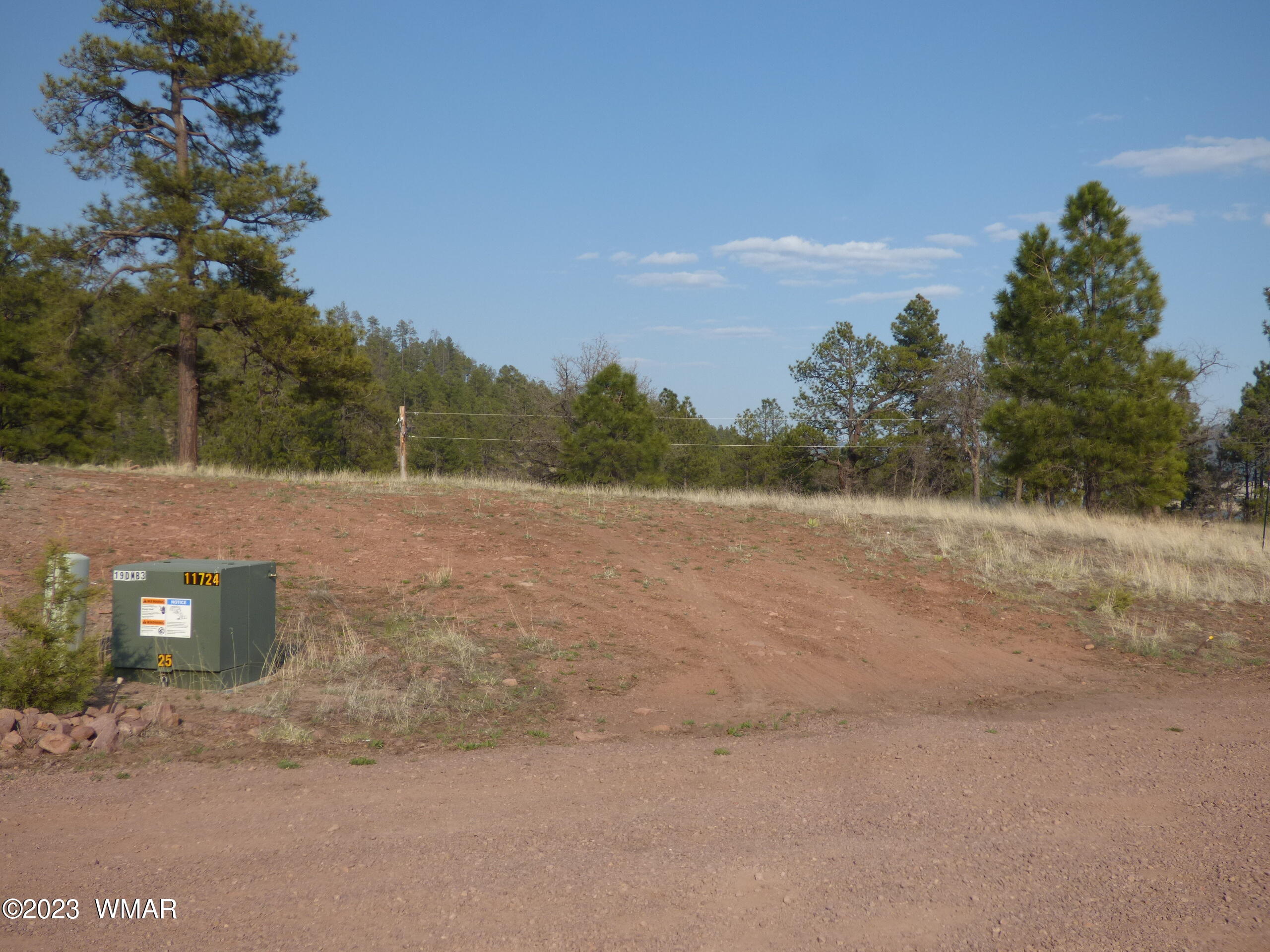 Lot 9 The Ranch Alpine, AZ 85920 - Photo 7 of 20 P1260177