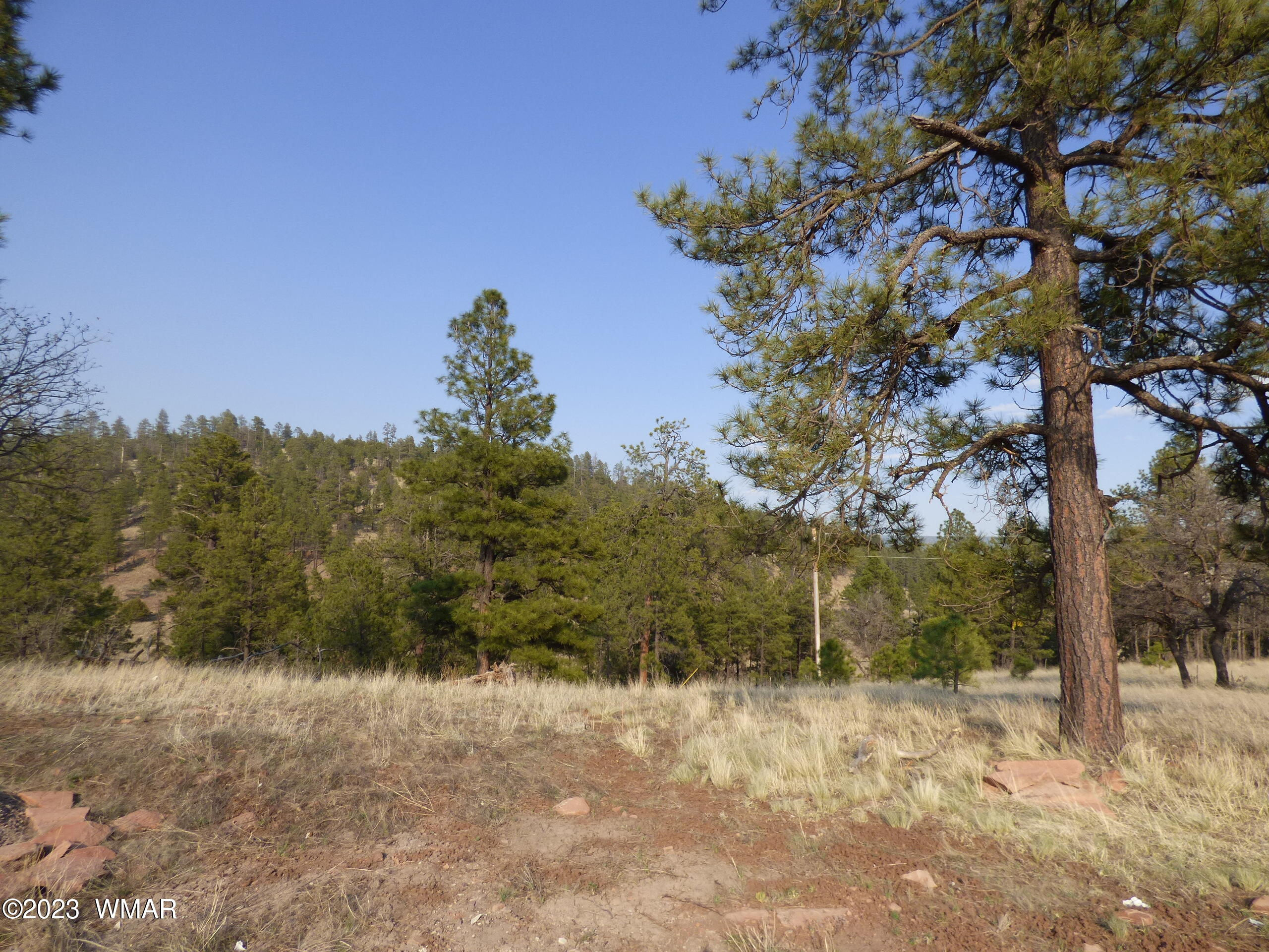 Lot 9 The Ranch Alpine, AZ 85920 - Photo 8 of 20 P1260184