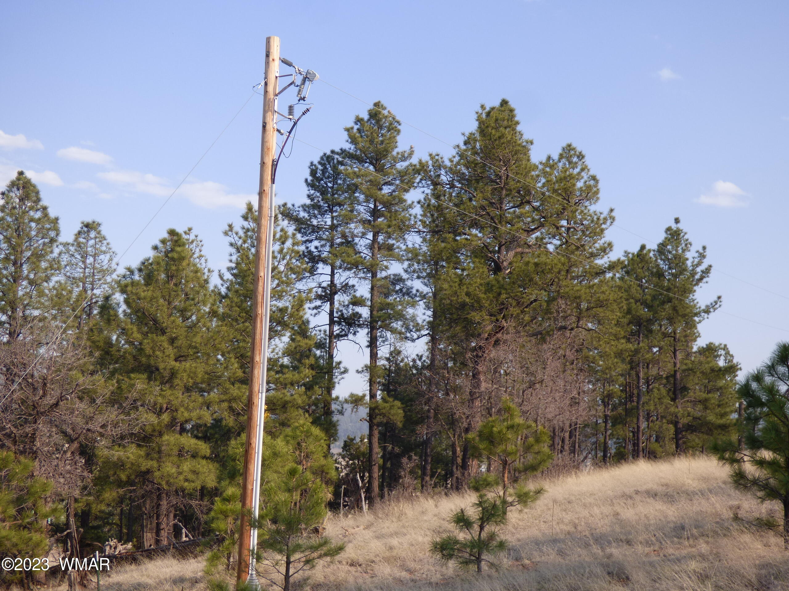 Lot 9 The Ranch Alpine, AZ 85920 - Photo 9 of 20 P1260200