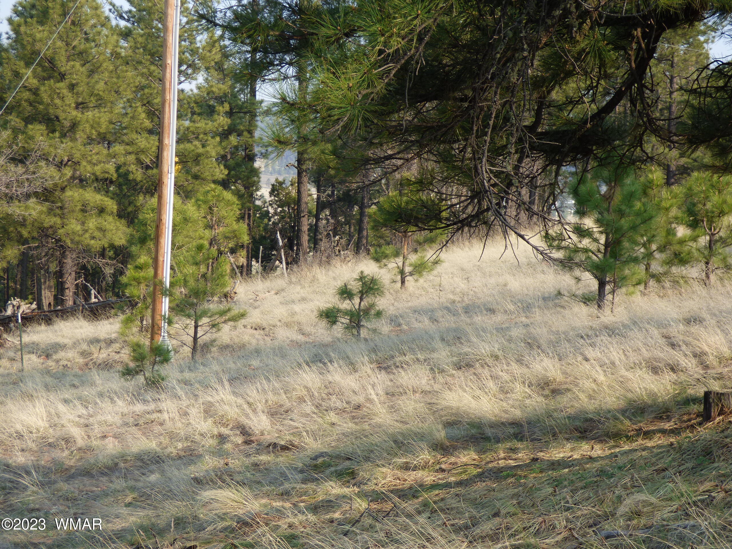 Lot 9 The Ranch Alpine, AZ 85920 - Photo 10 of 20 P1260197