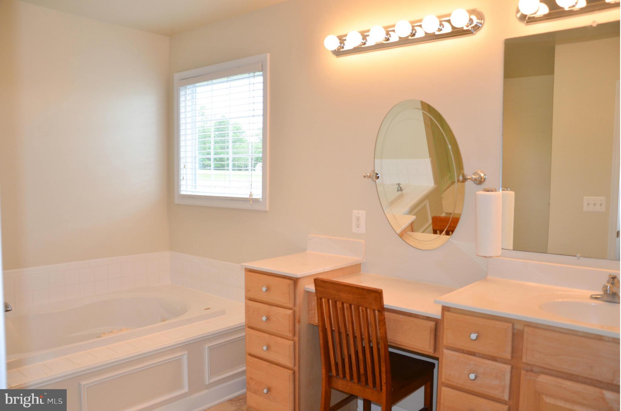 21021 Batna Road Culpeper, VA 22701 - Photo 17 of 30 Master bath with vanity