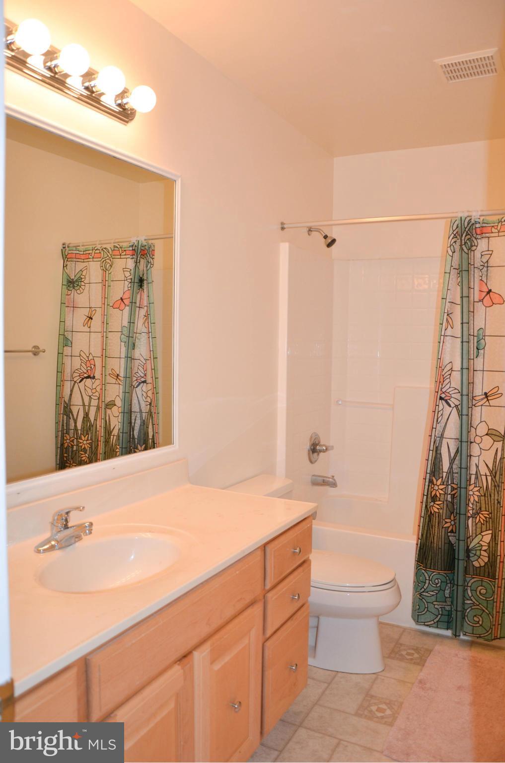 21021 Batna Road Culpeper, VA 22701 - Photo 21 of 30 2nd full bathroom