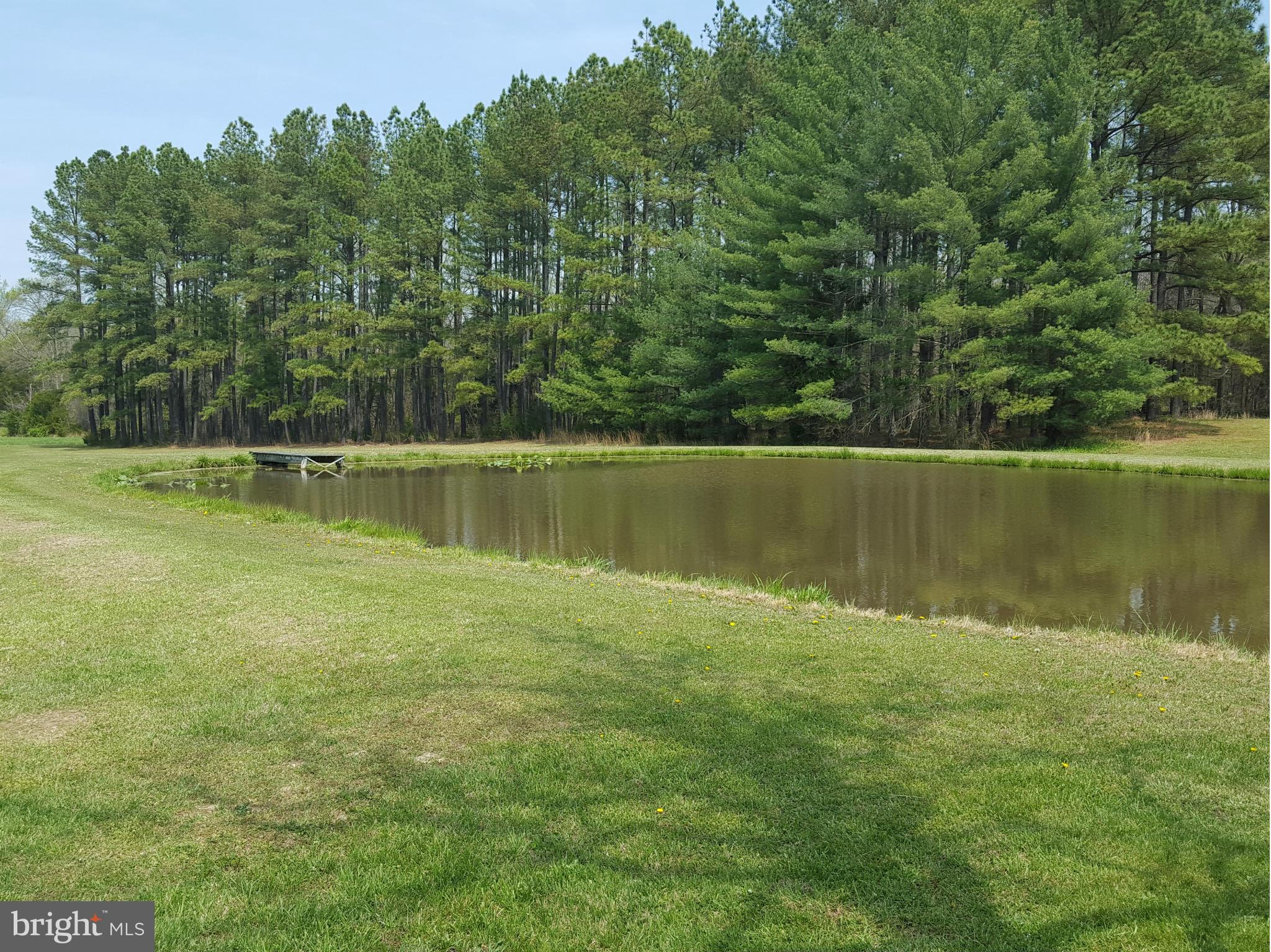 21021 Batna Road Culpeper, VA 22701 - Photo 24 of 30 Private pond and dock