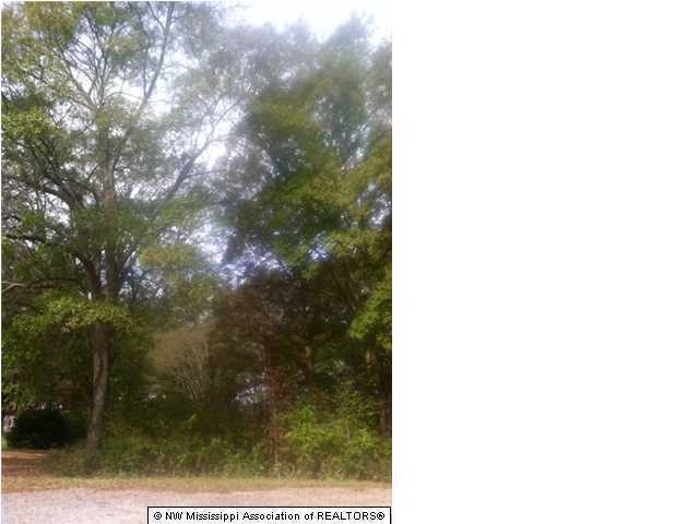 0 Oakley Road Senatobia, MS 38668 - Photo 1 of 3 Primary Photo