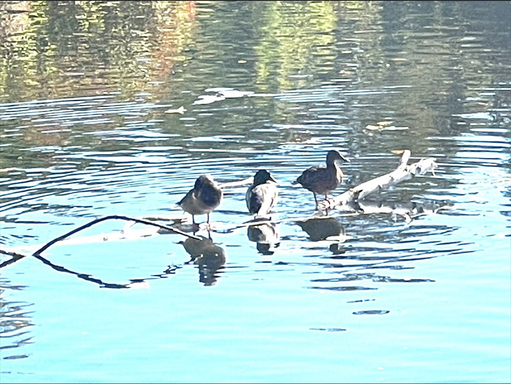 81 Jolicoeur Avenue, Unit B Spencer, MA 01562 - Photo 5 of 8