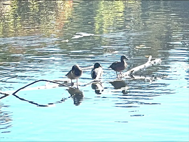 $2,300 | 81 Jolicoeur Avenue, Unit 1, Spencer, MA 01562